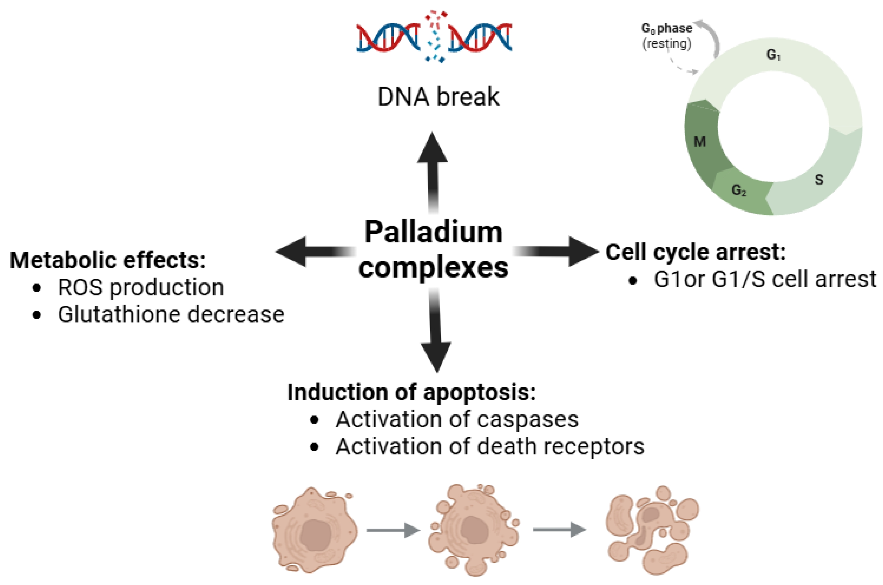 Inorganics 13 00064 g008