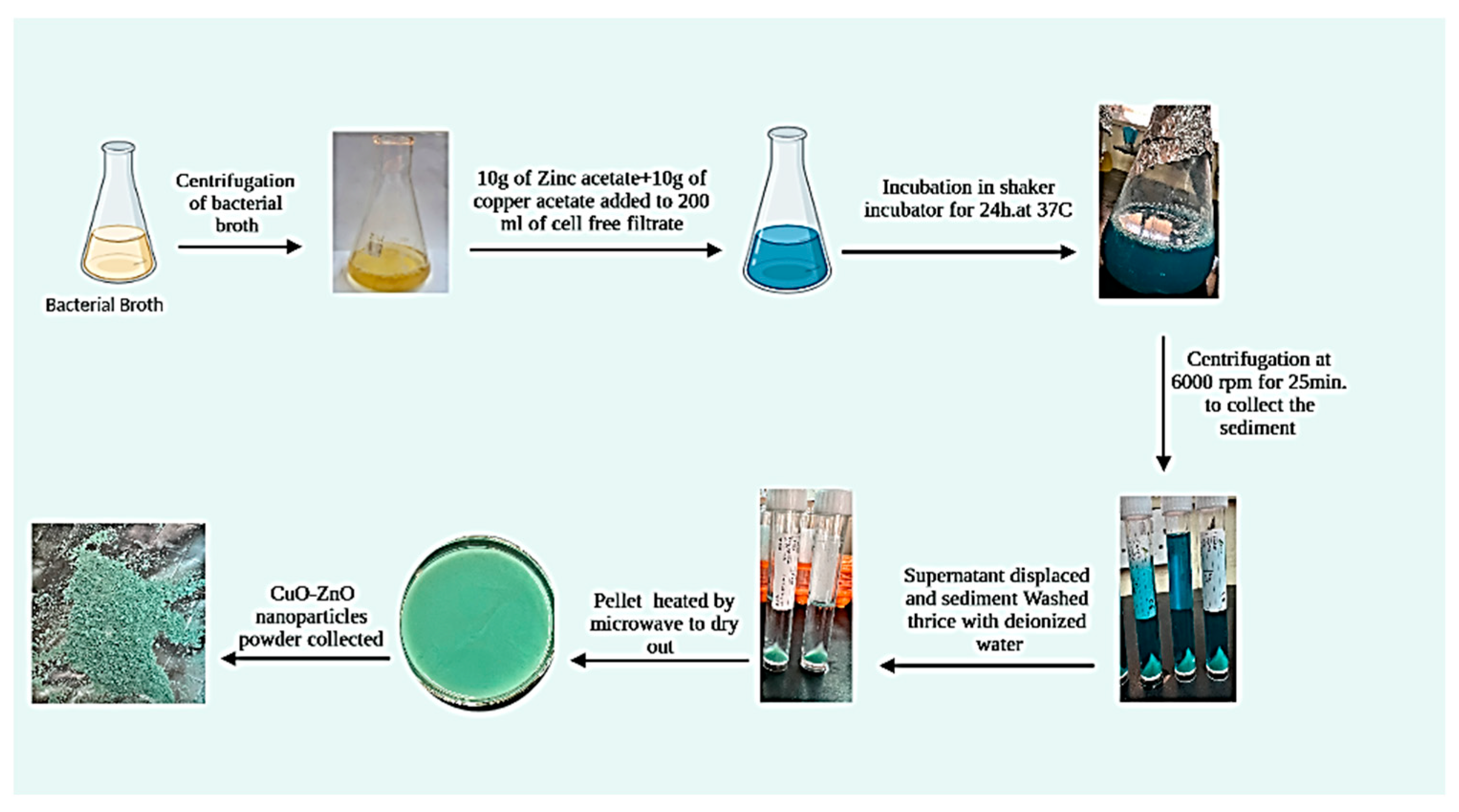 Inorganics 13 00065 g012