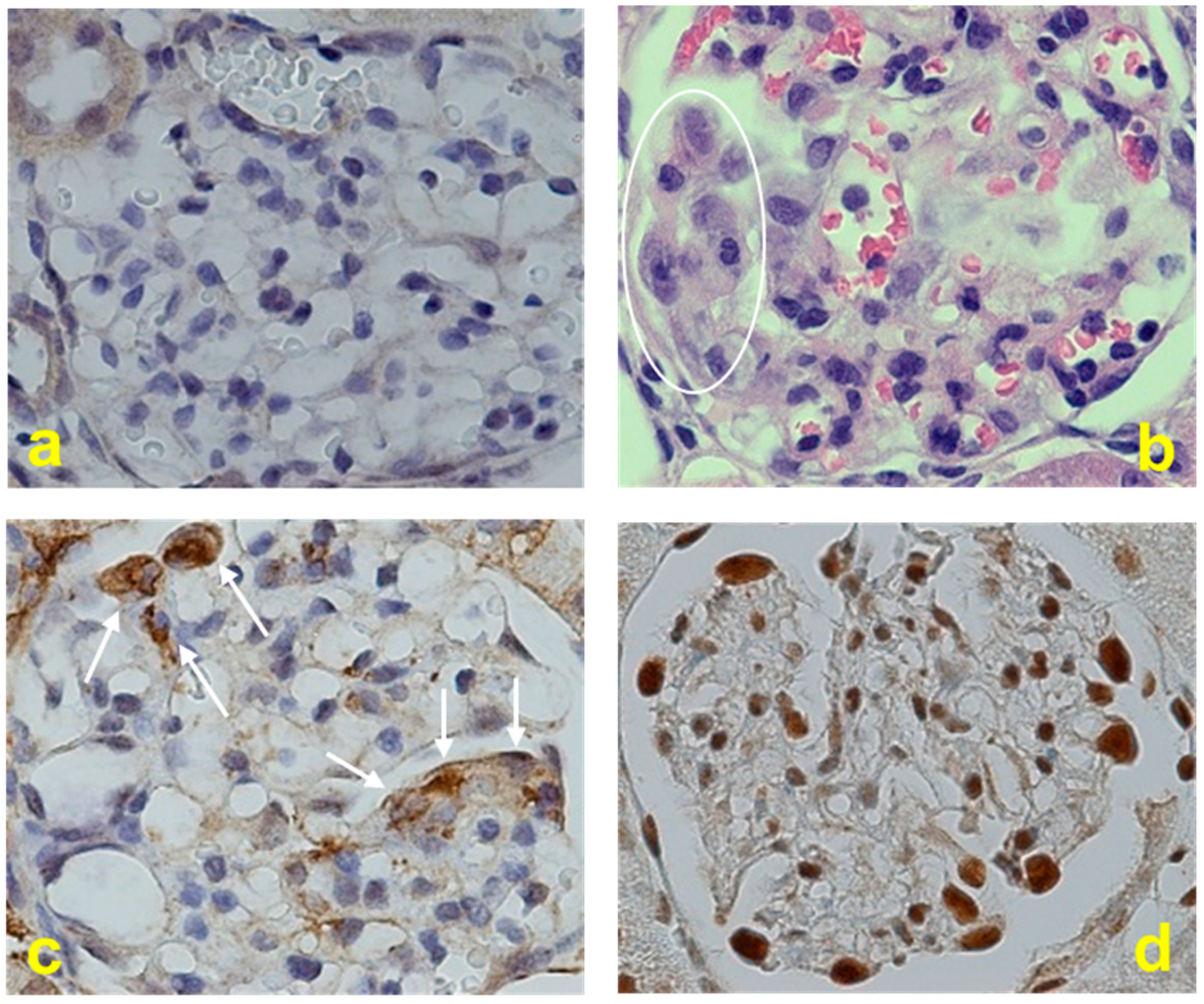 Inorganics 13 00066 g003