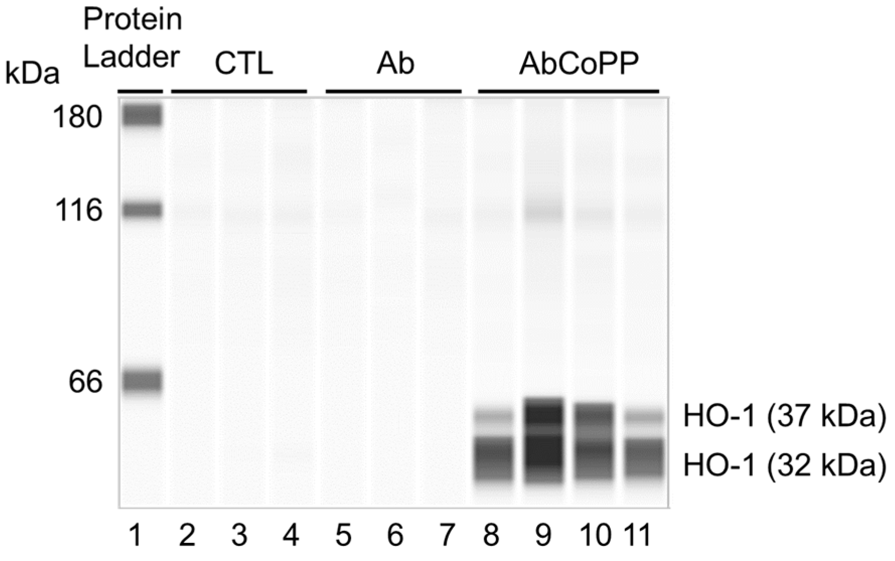 Inorganics 13 00066 g004