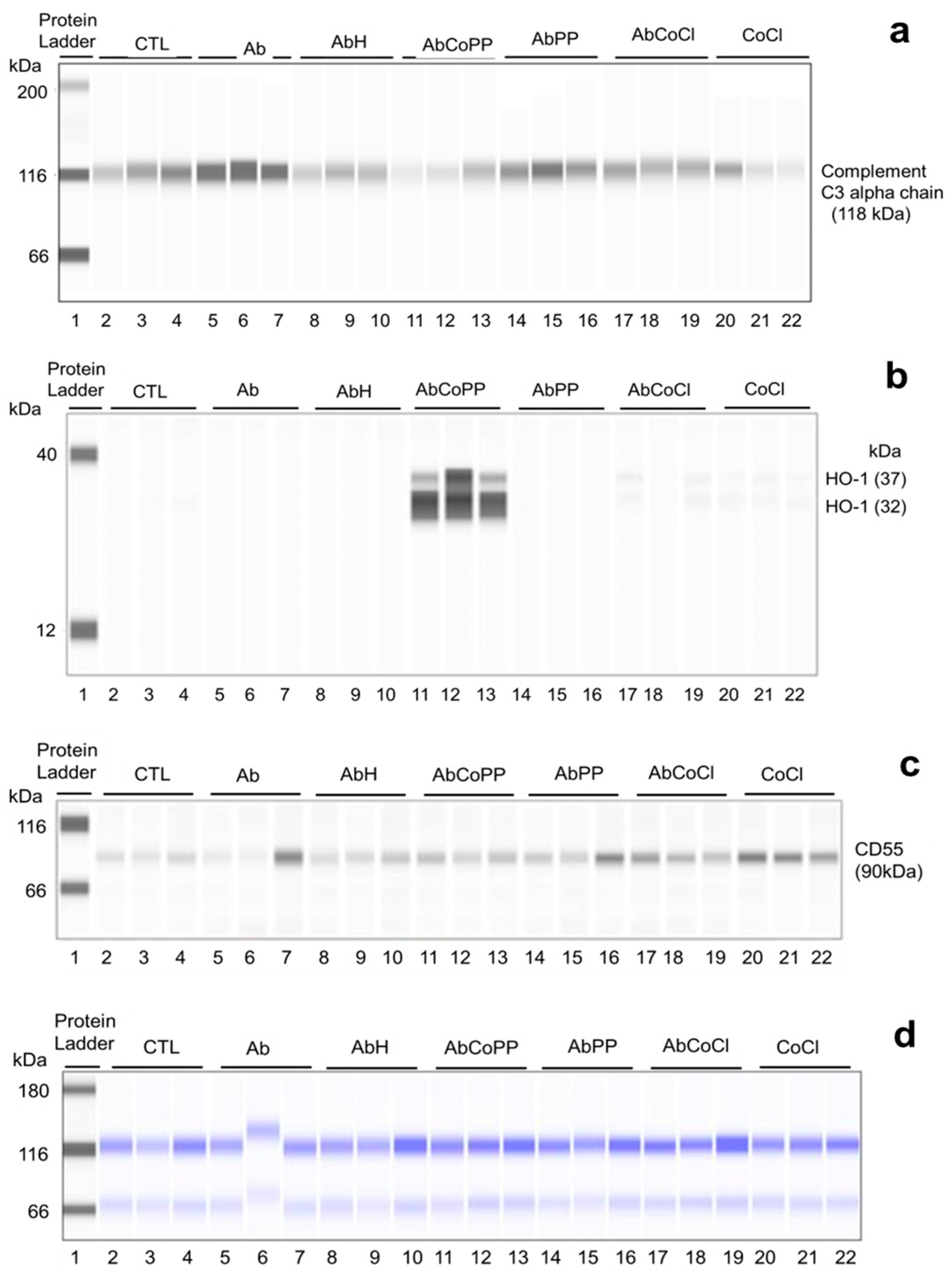 Inorganics 13 00066 g008