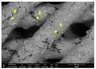 Inorganics 13 00068 i003