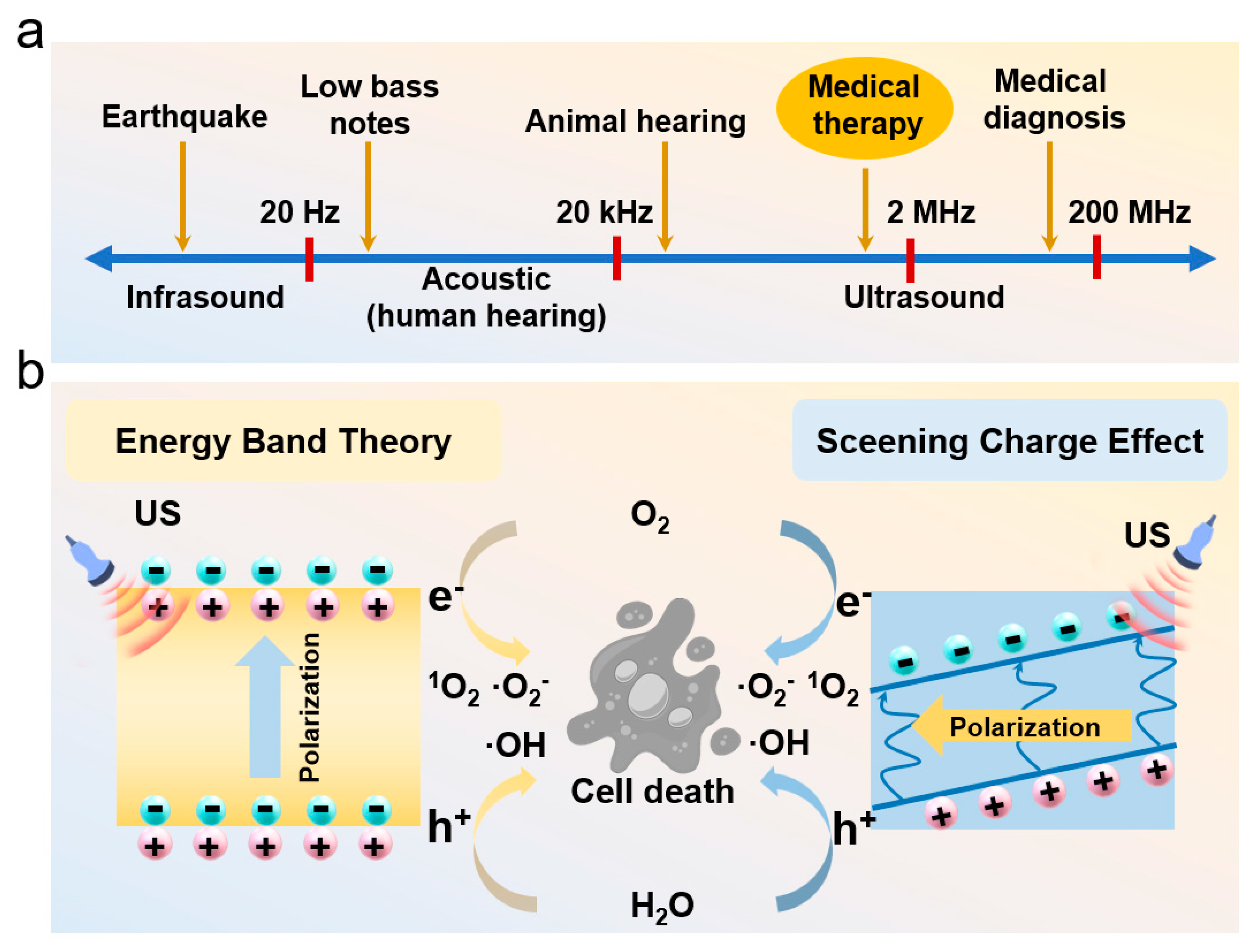 Inorganics 13 00071 g001