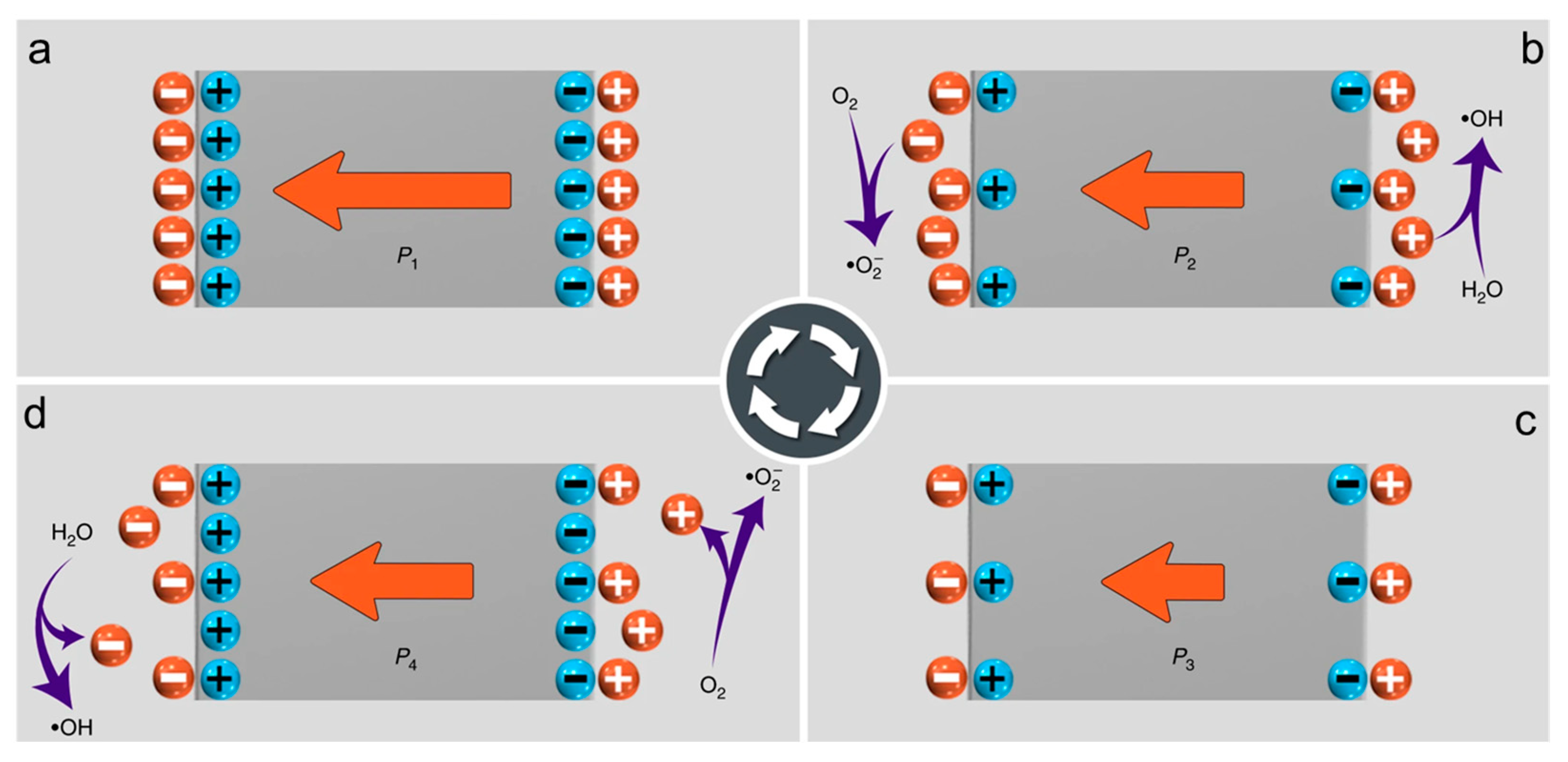 Inorganics 13 00071 g004
