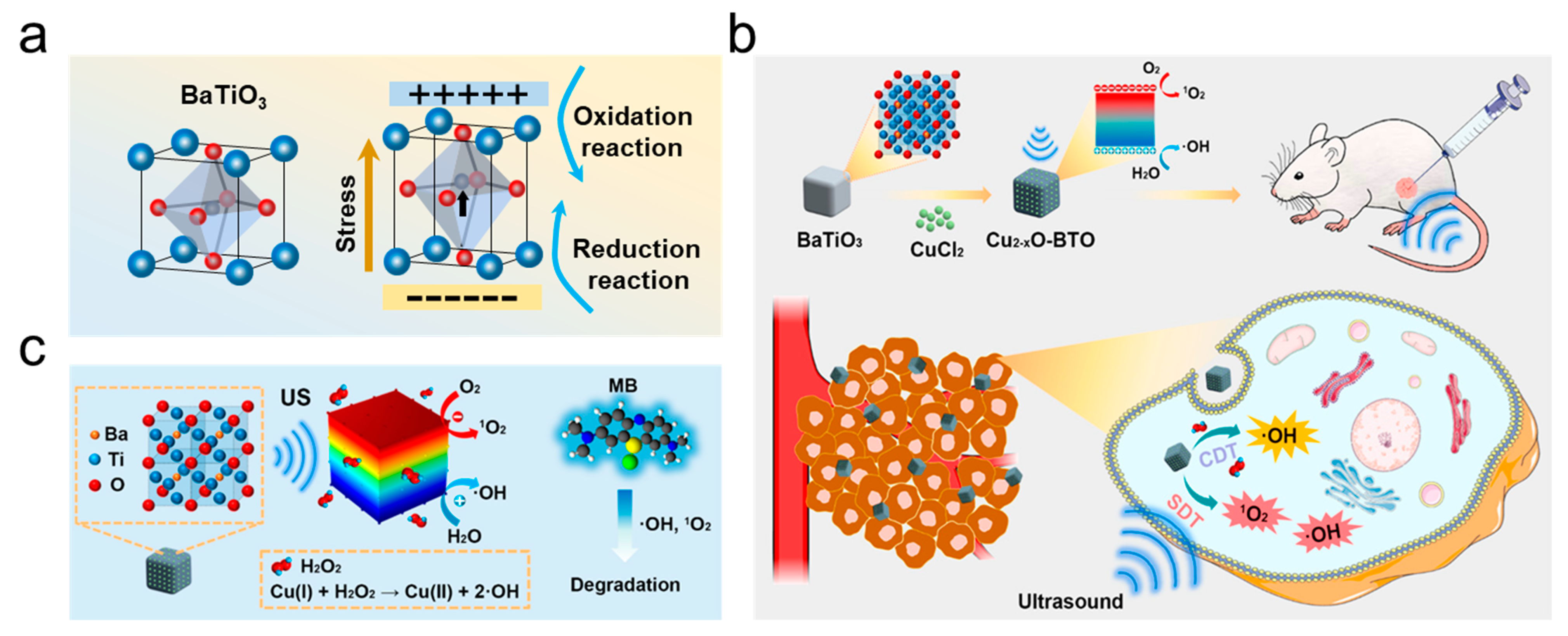 Inorganics 13 00071 g005