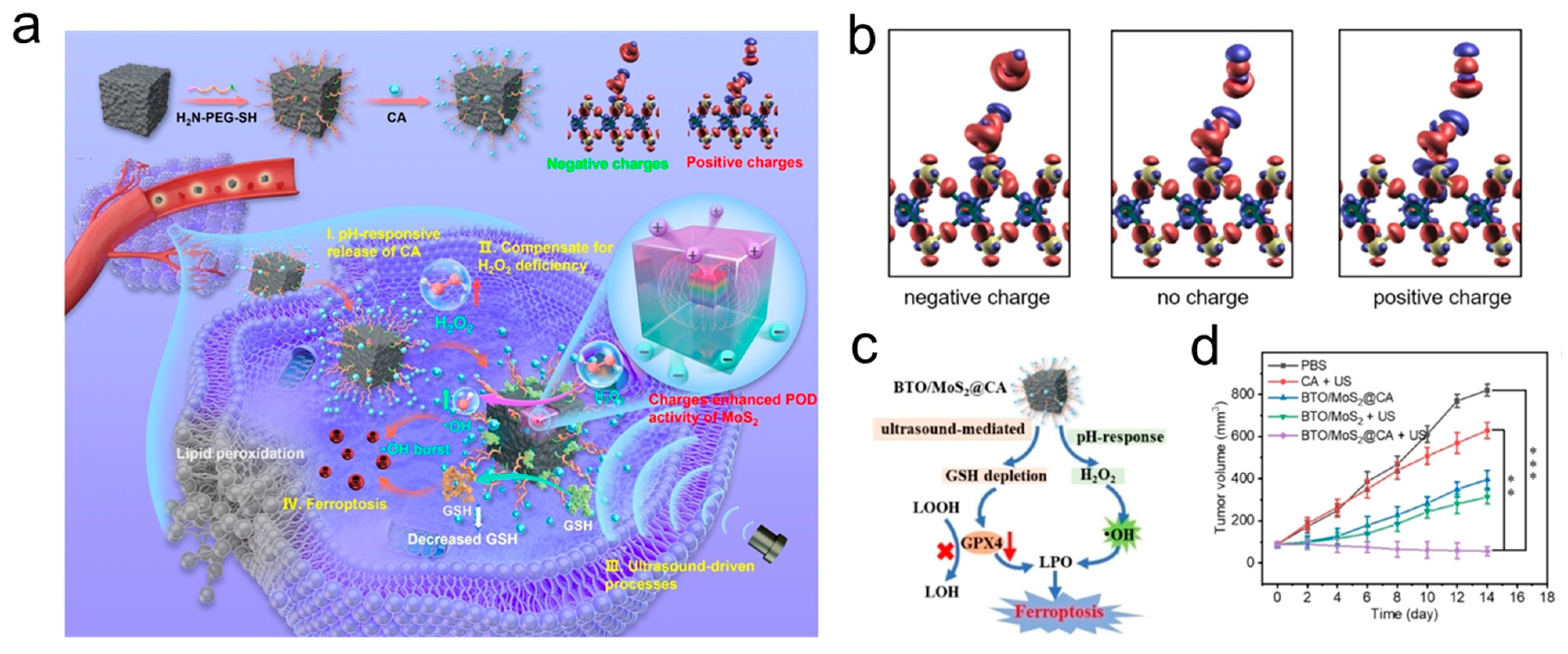 Inorganics 13 00071 g006