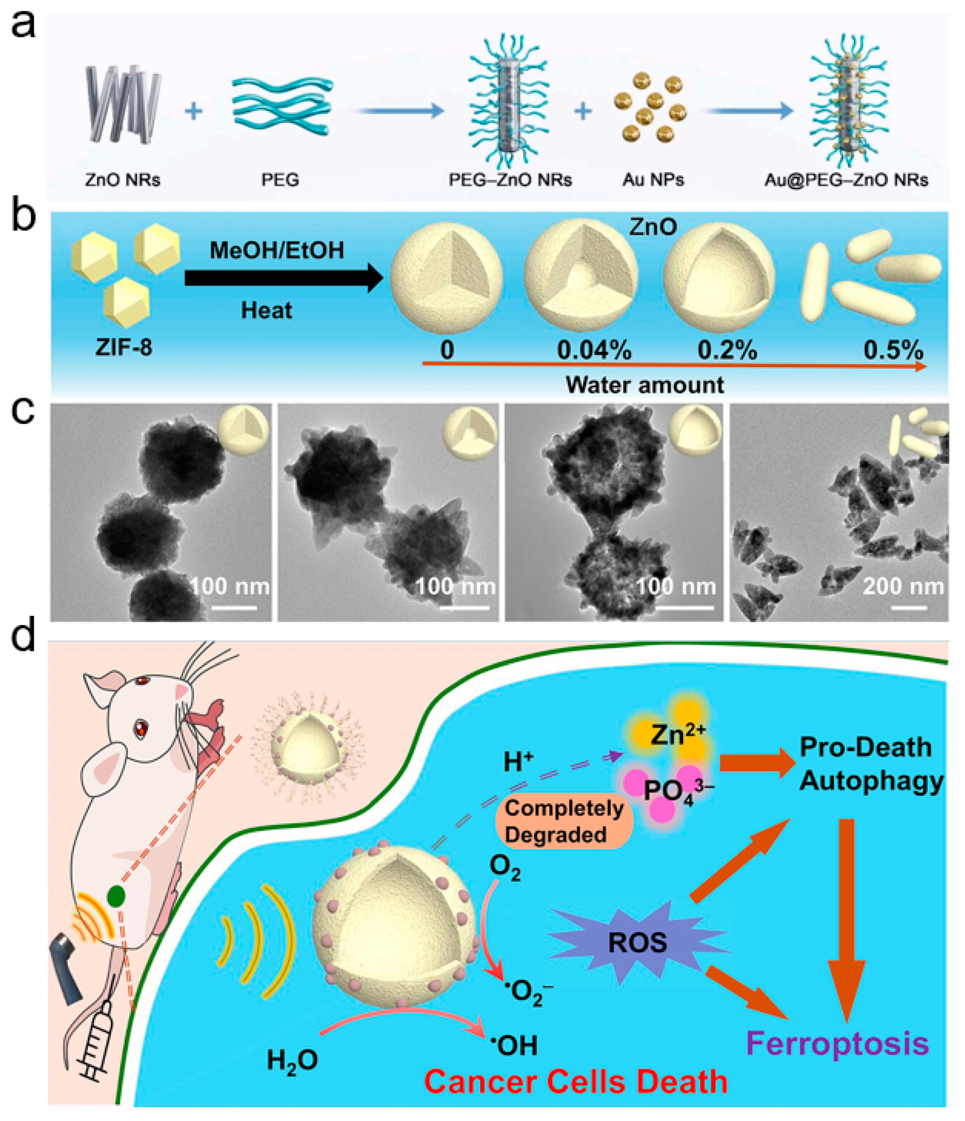Inorganics 13 00071 g007