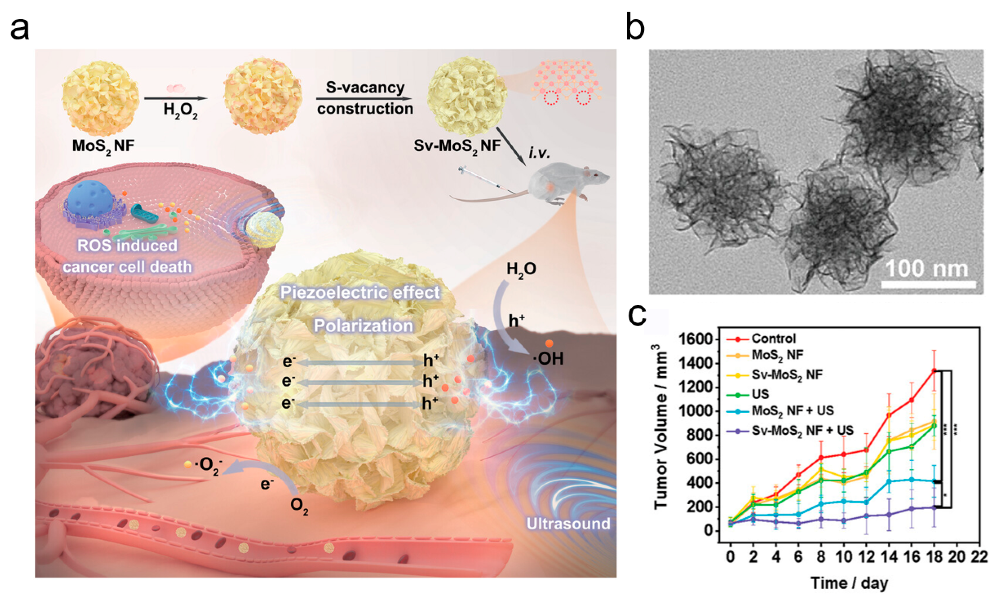 Inorganics 13 00071 g008