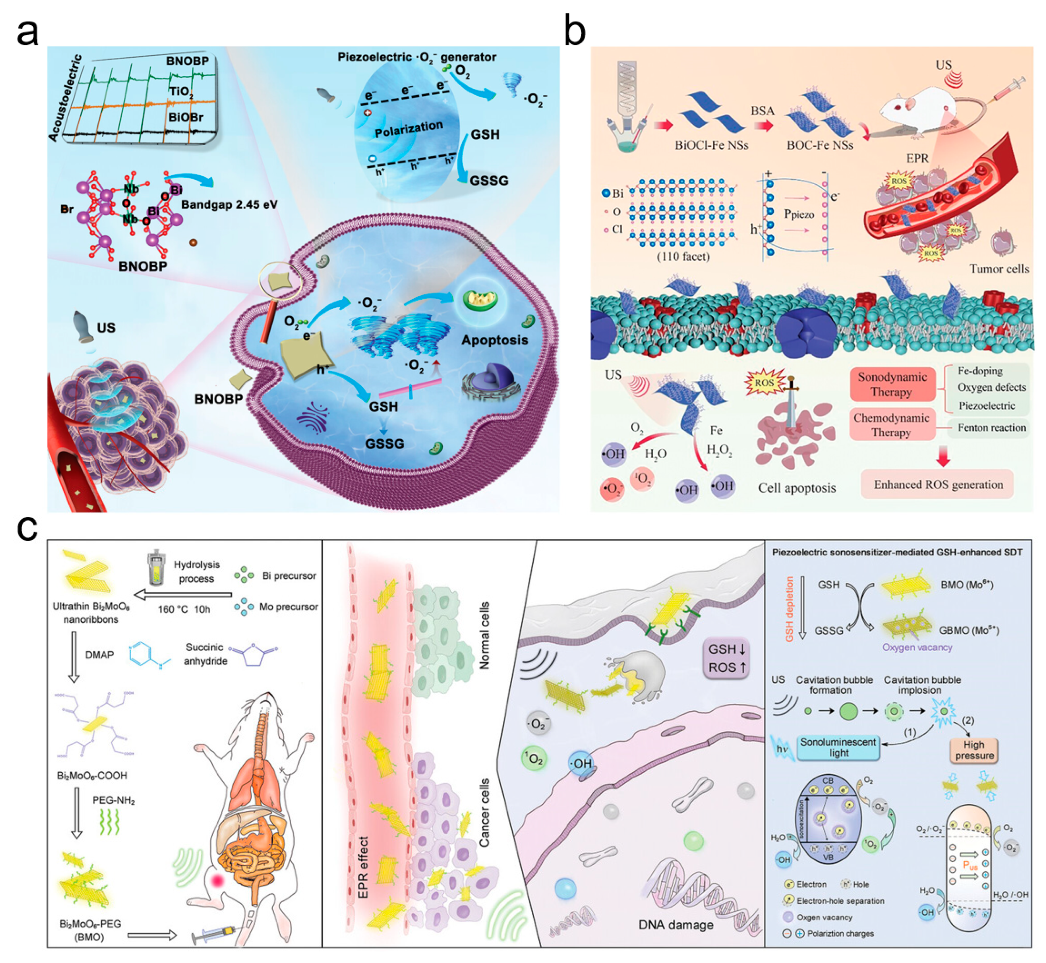 Inorganics 13 00071 g009