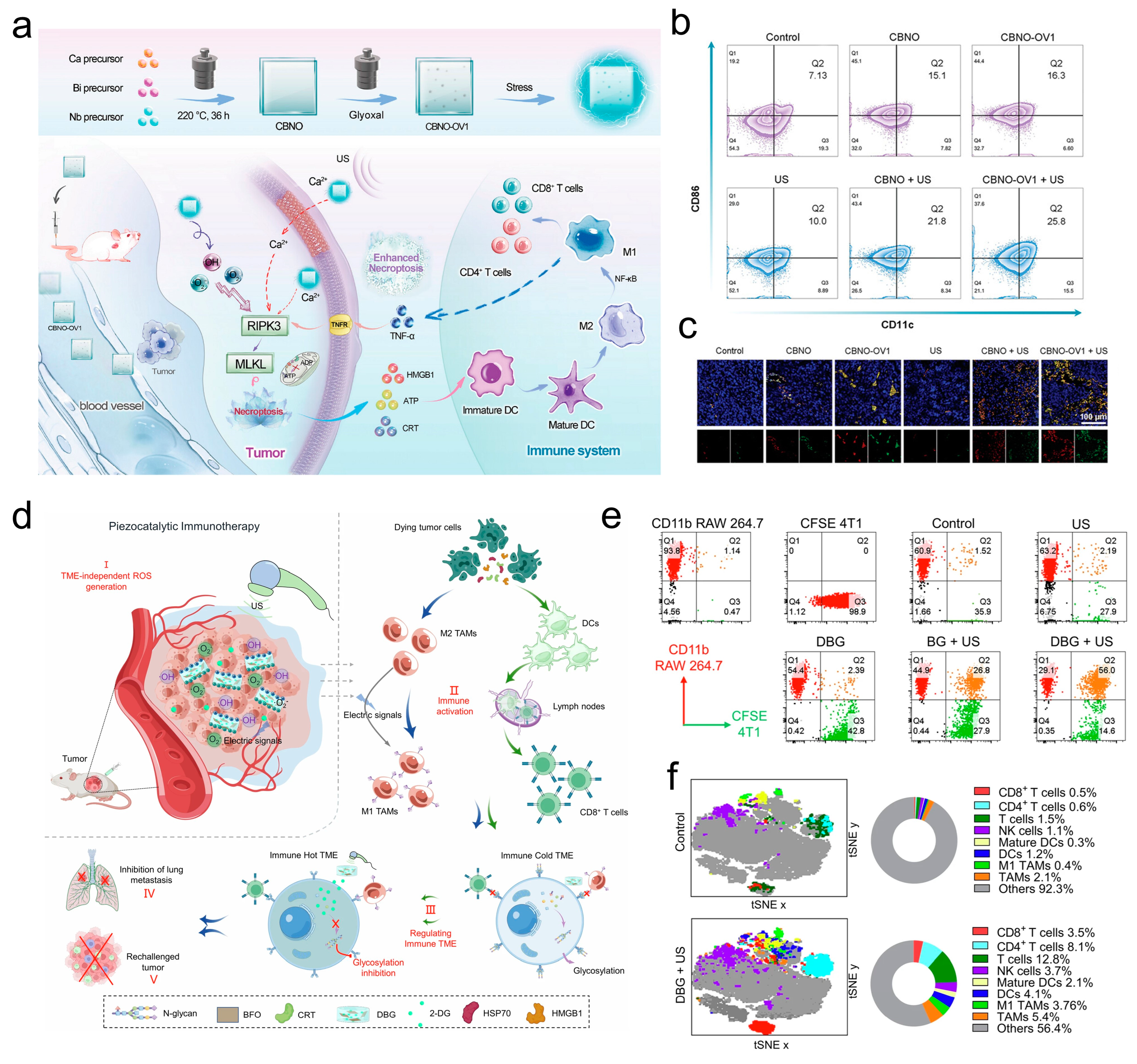 Inorganics 13 00071 g010