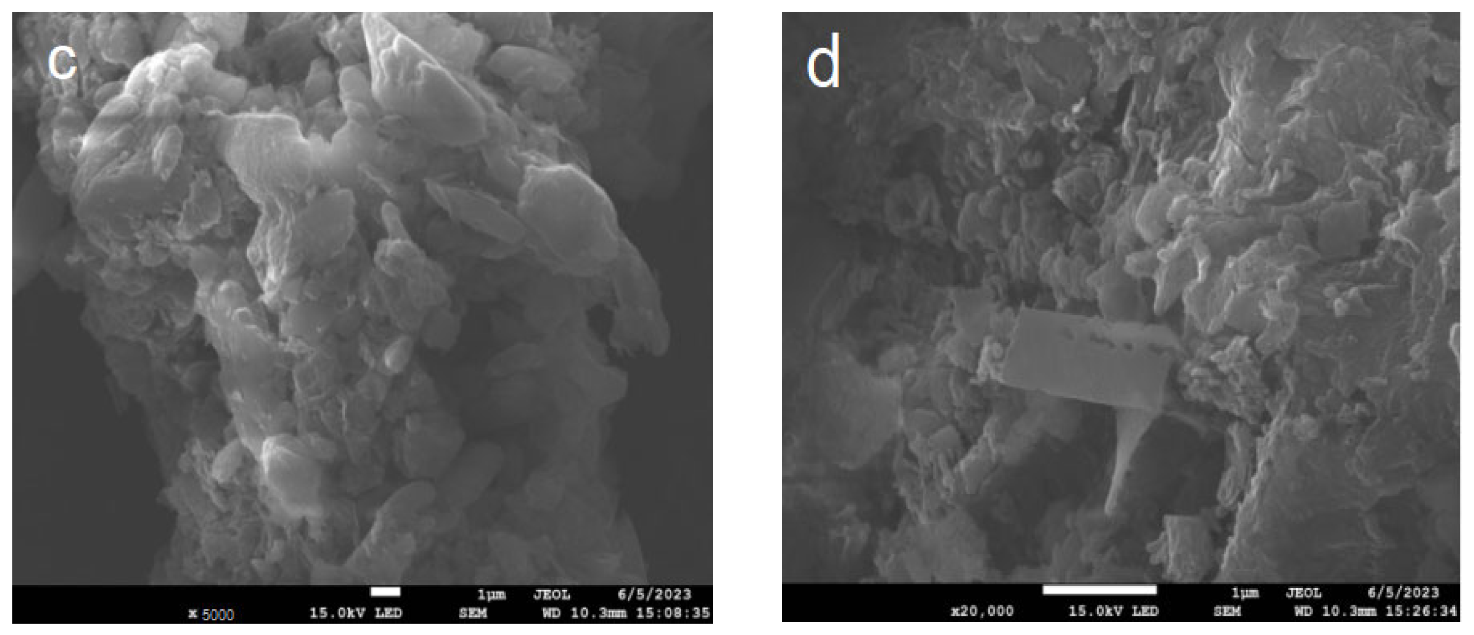 Inorganics 13 00077 g003b