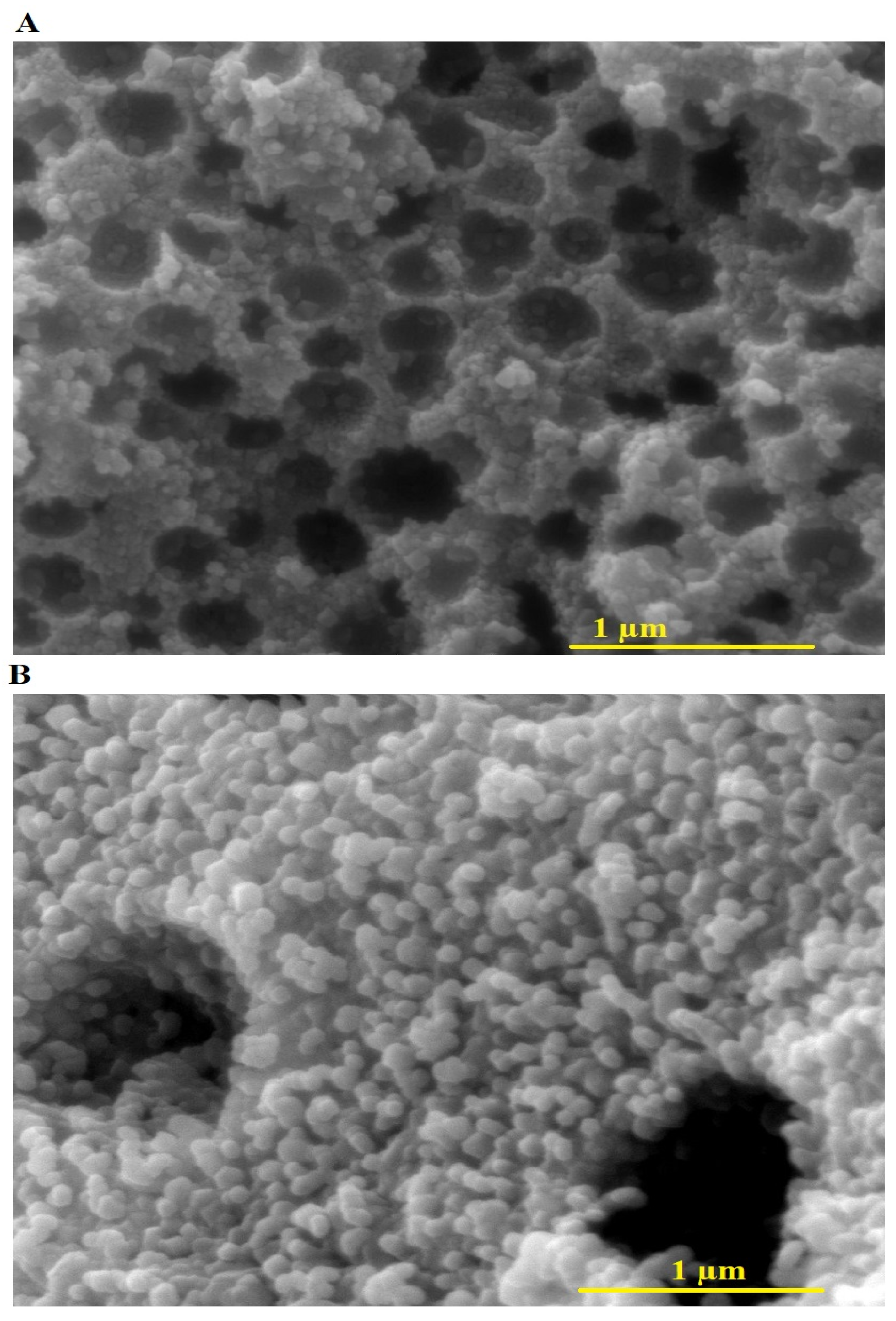Inorganics 13 00082 g003