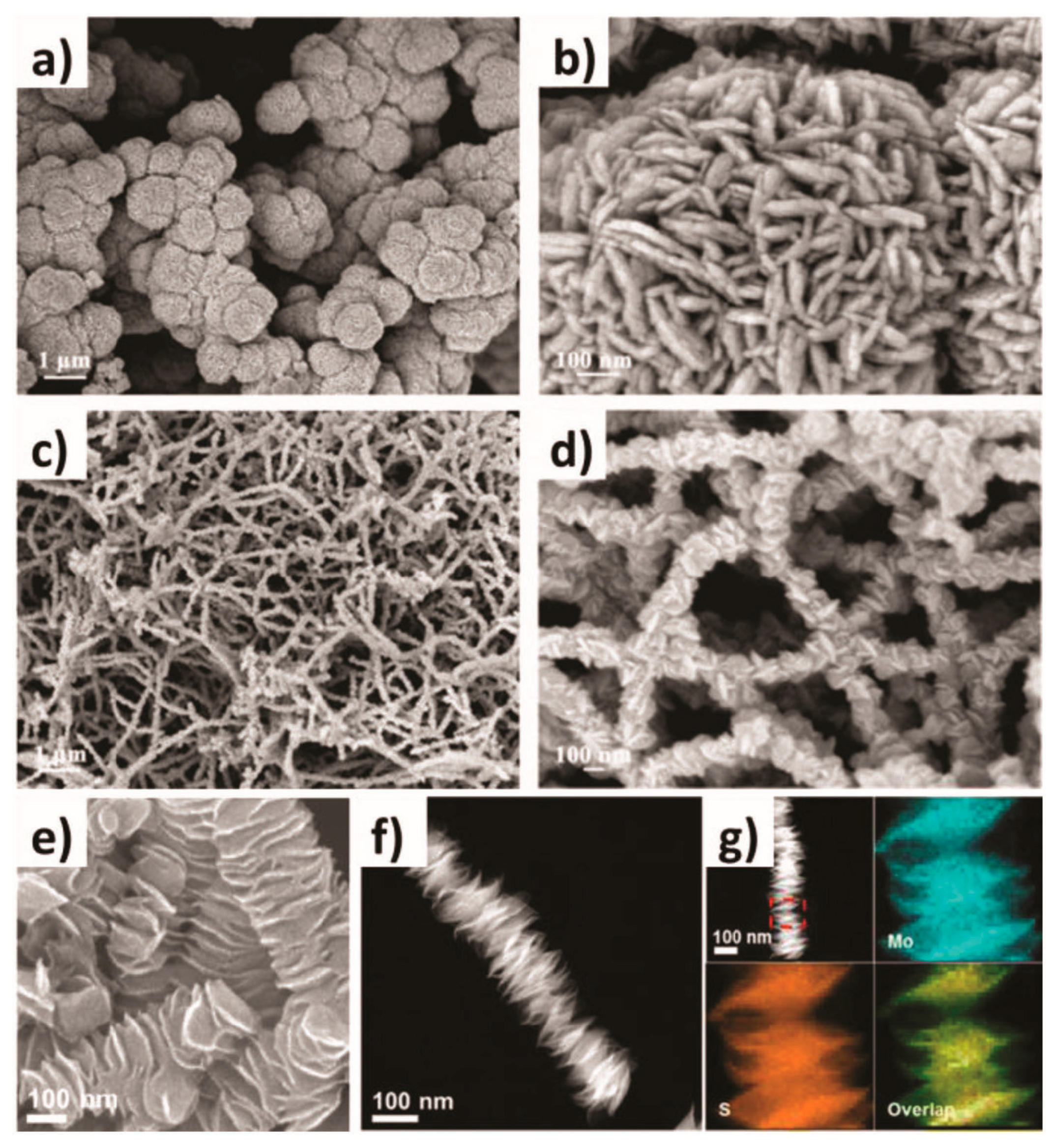 Inorganics 13 00084 g001