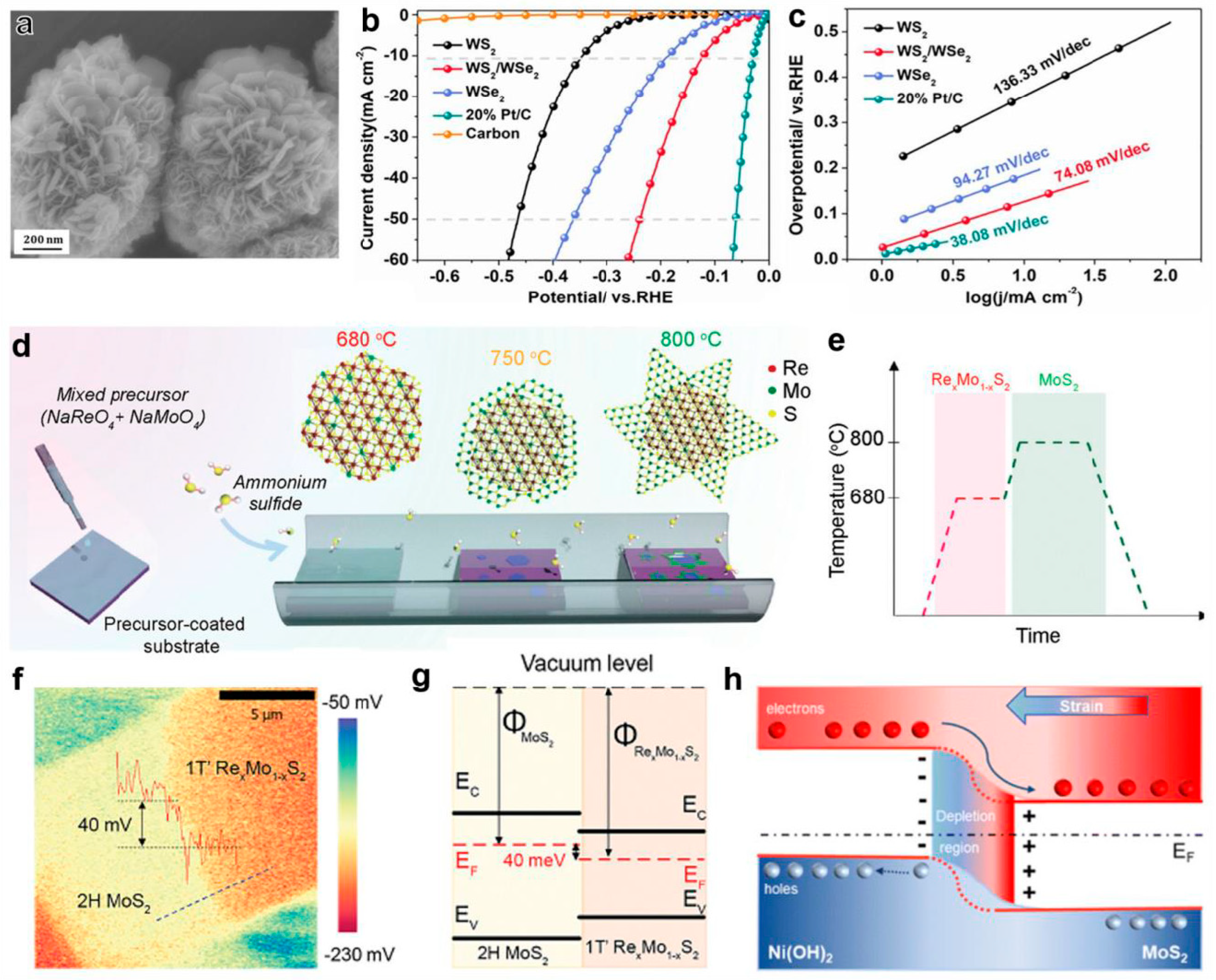 Inorganics 13 00084 g010