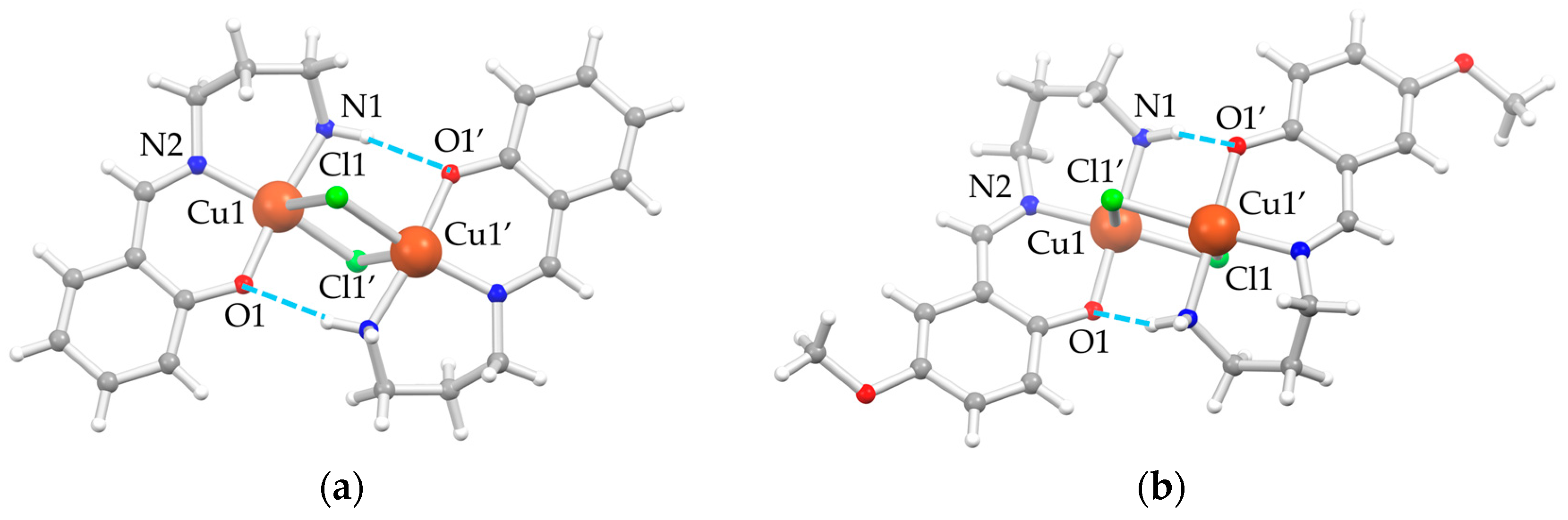 Inorganics 13 00094 g001