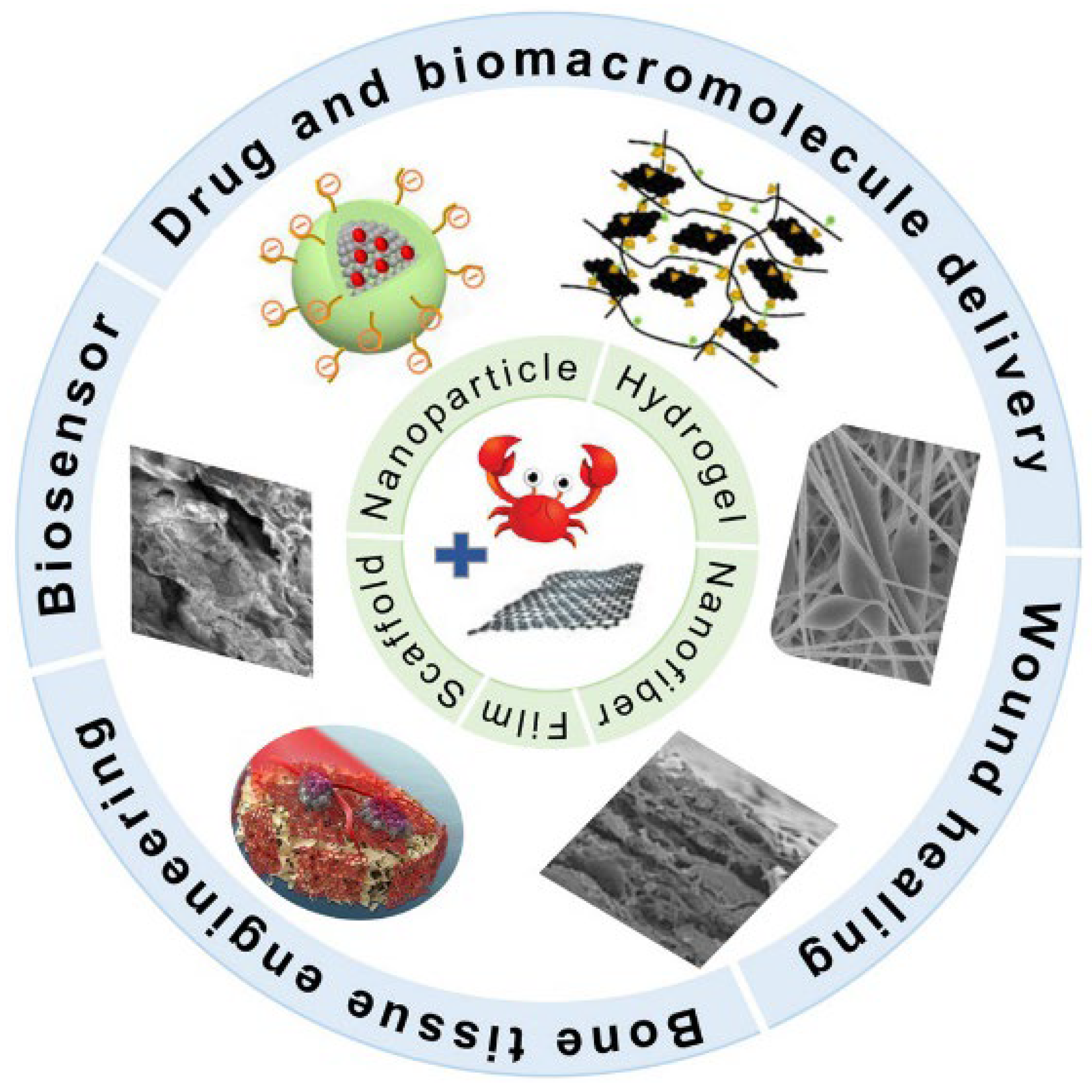 Inorganics 13 00098 g004