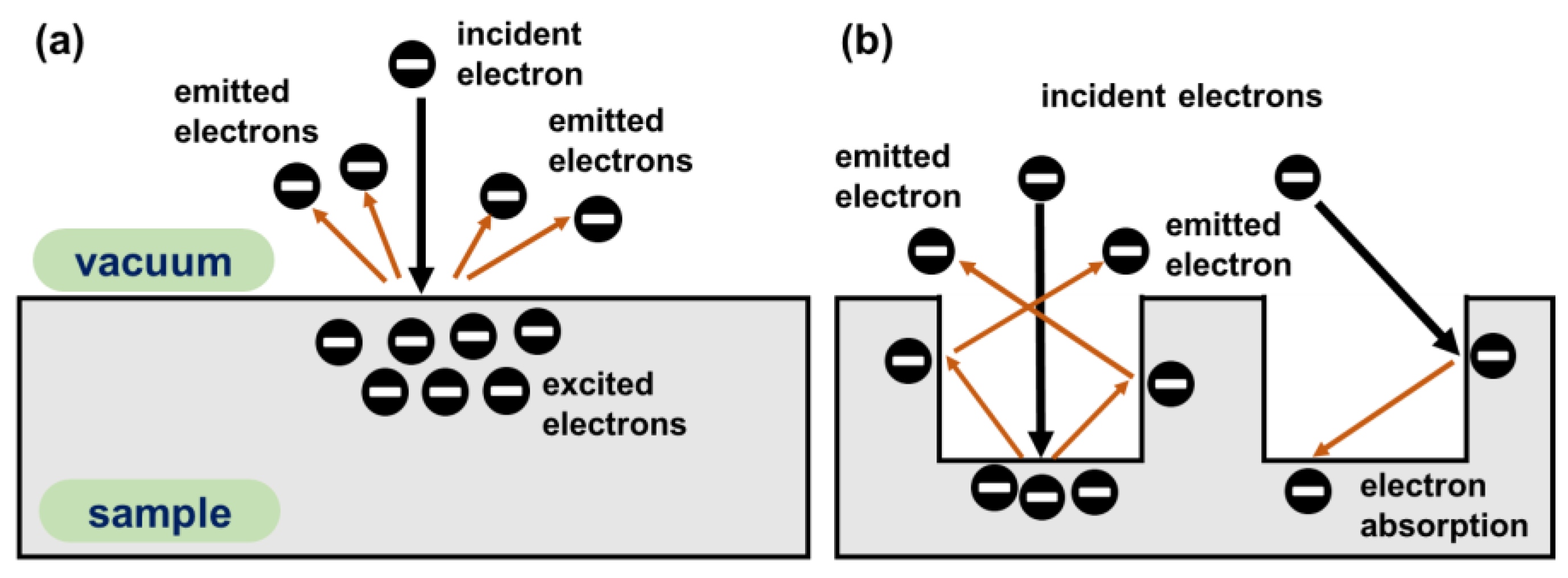 Inorganics 13 00102 g007