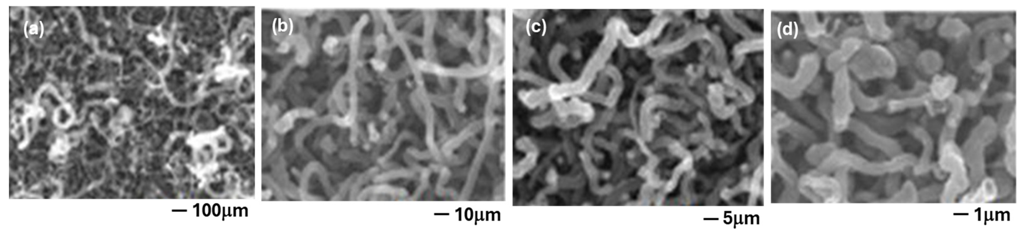 Inorganics 13 00113 g007