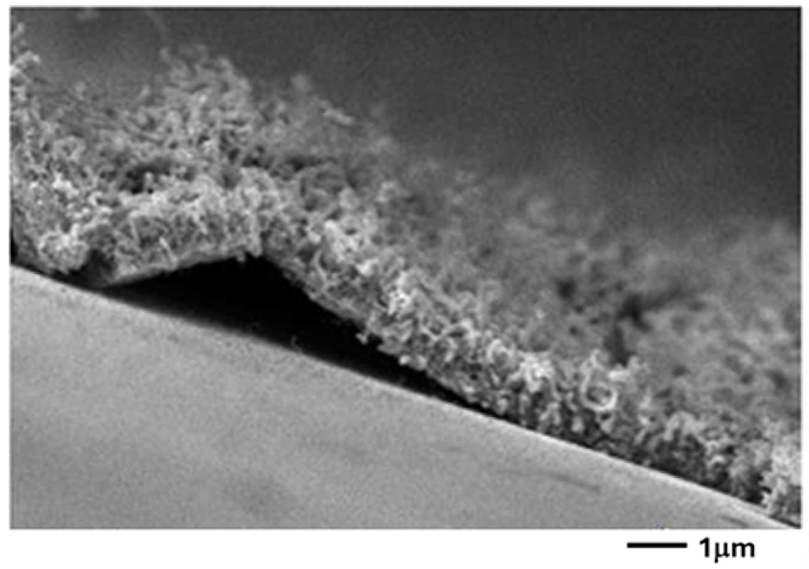 Inorganics 13 00113 g008