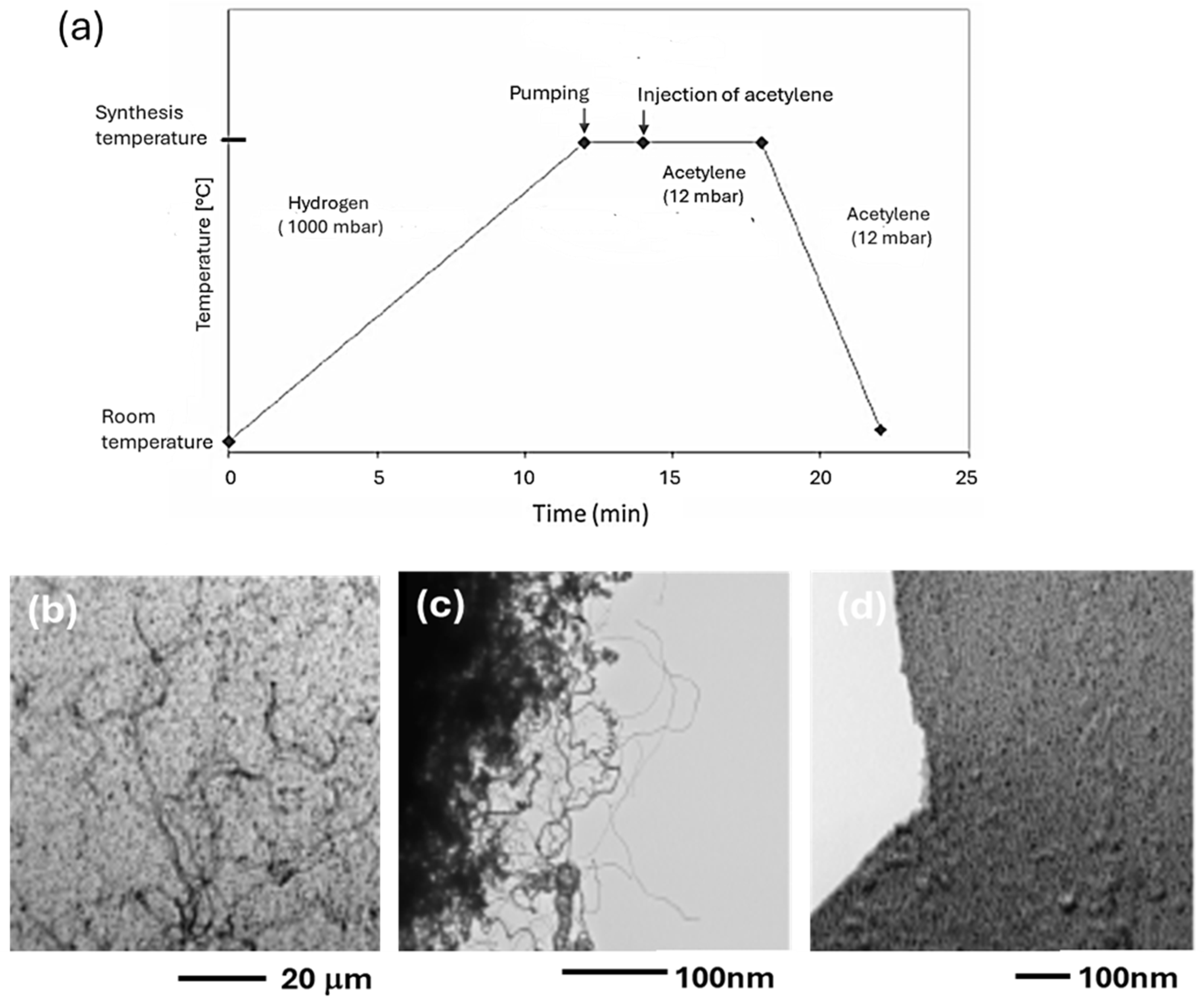 Inorganics 13 00113 g012