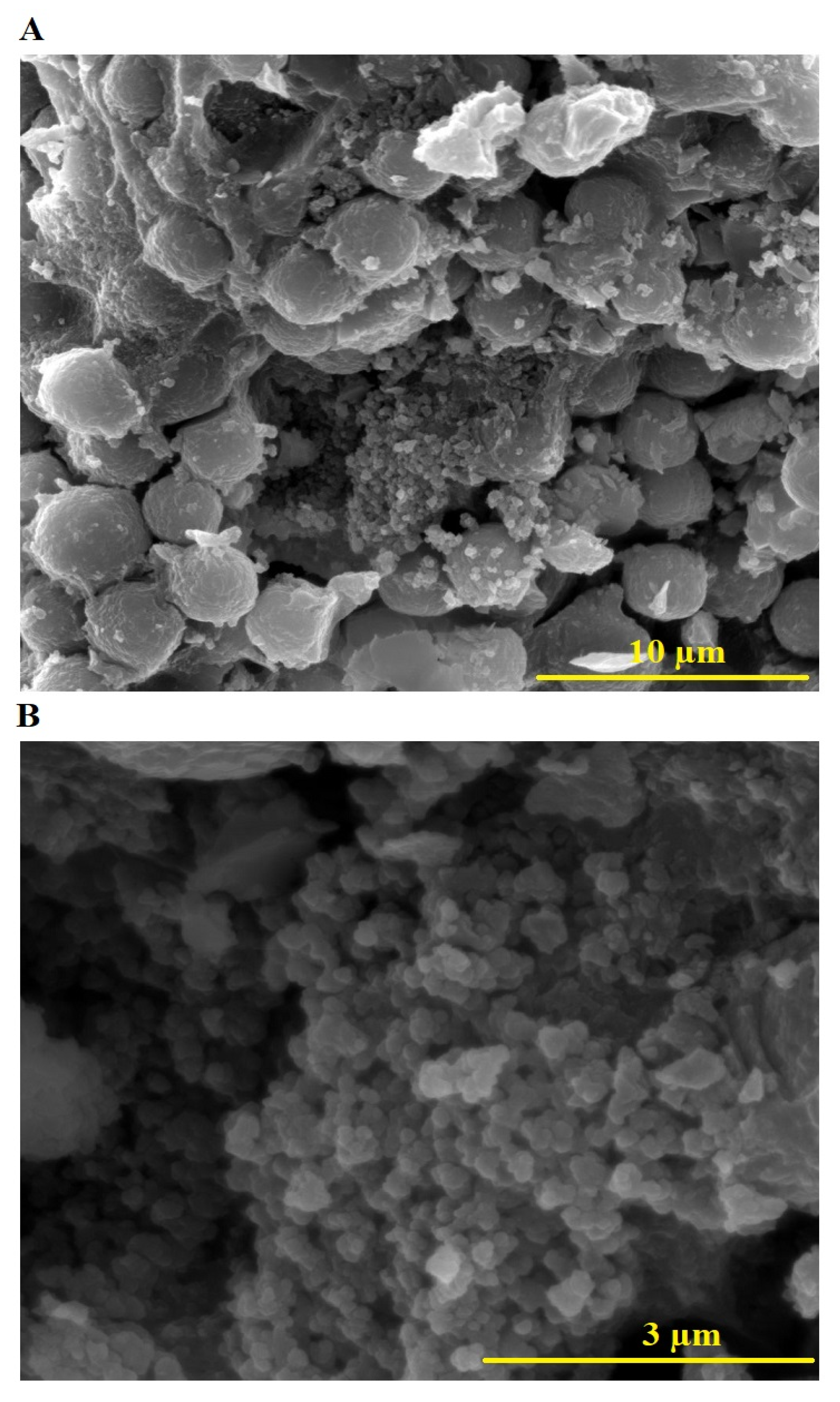 Inorganics 13 00120 g004