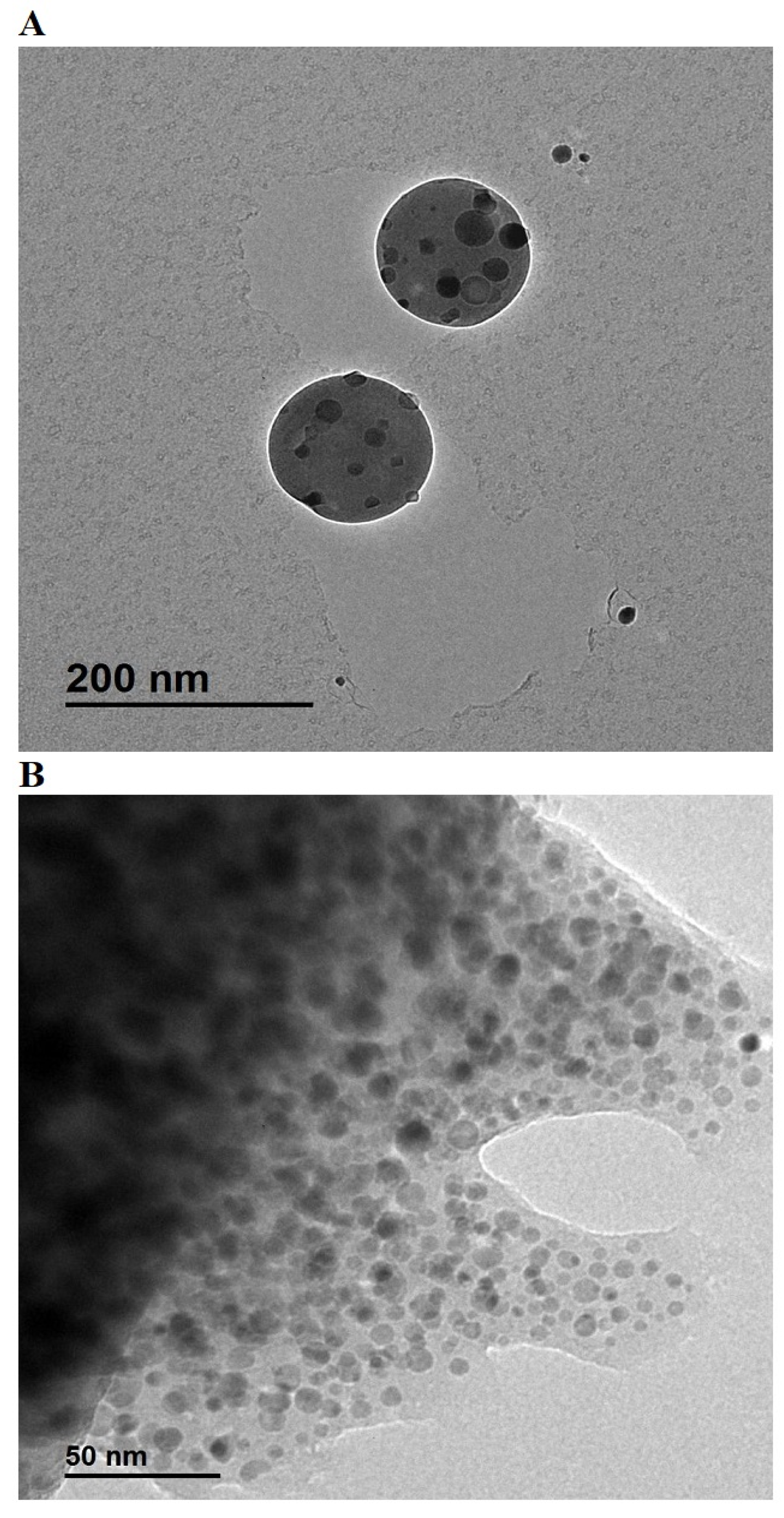Inorganics 13 00120 g005