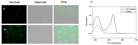 Inorganics 13 00124 g010