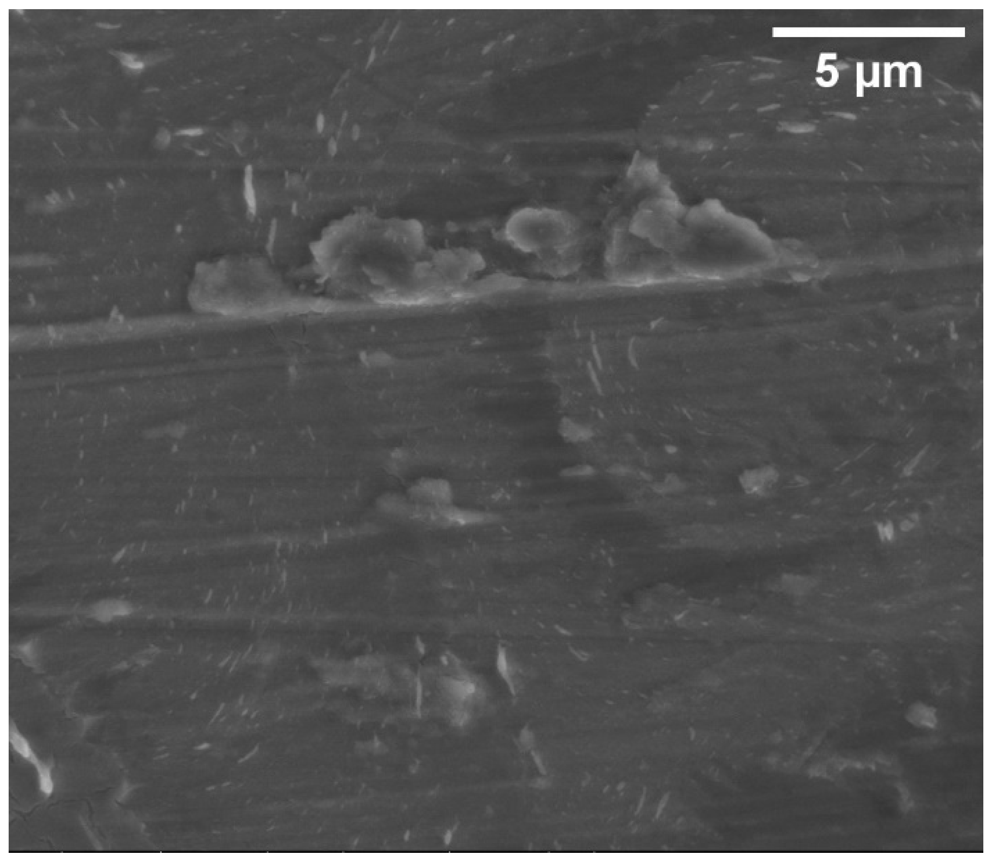 Inorganics 13 00133 g004