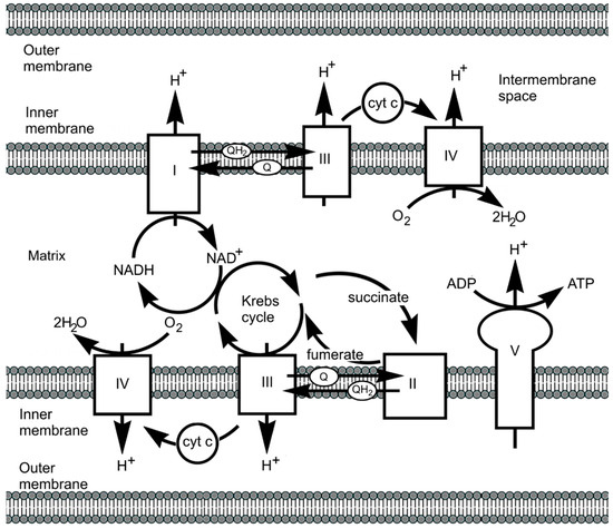Inorganics 13 00137 g035