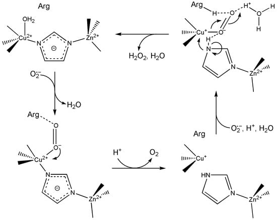Inorganics 13 00137 g061