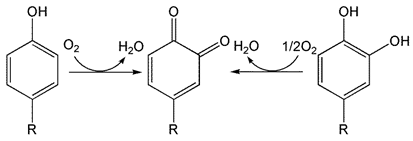 Inorganics 13 00137 i006