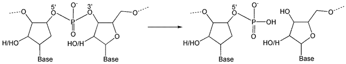 Inorganics 13 00137 i007