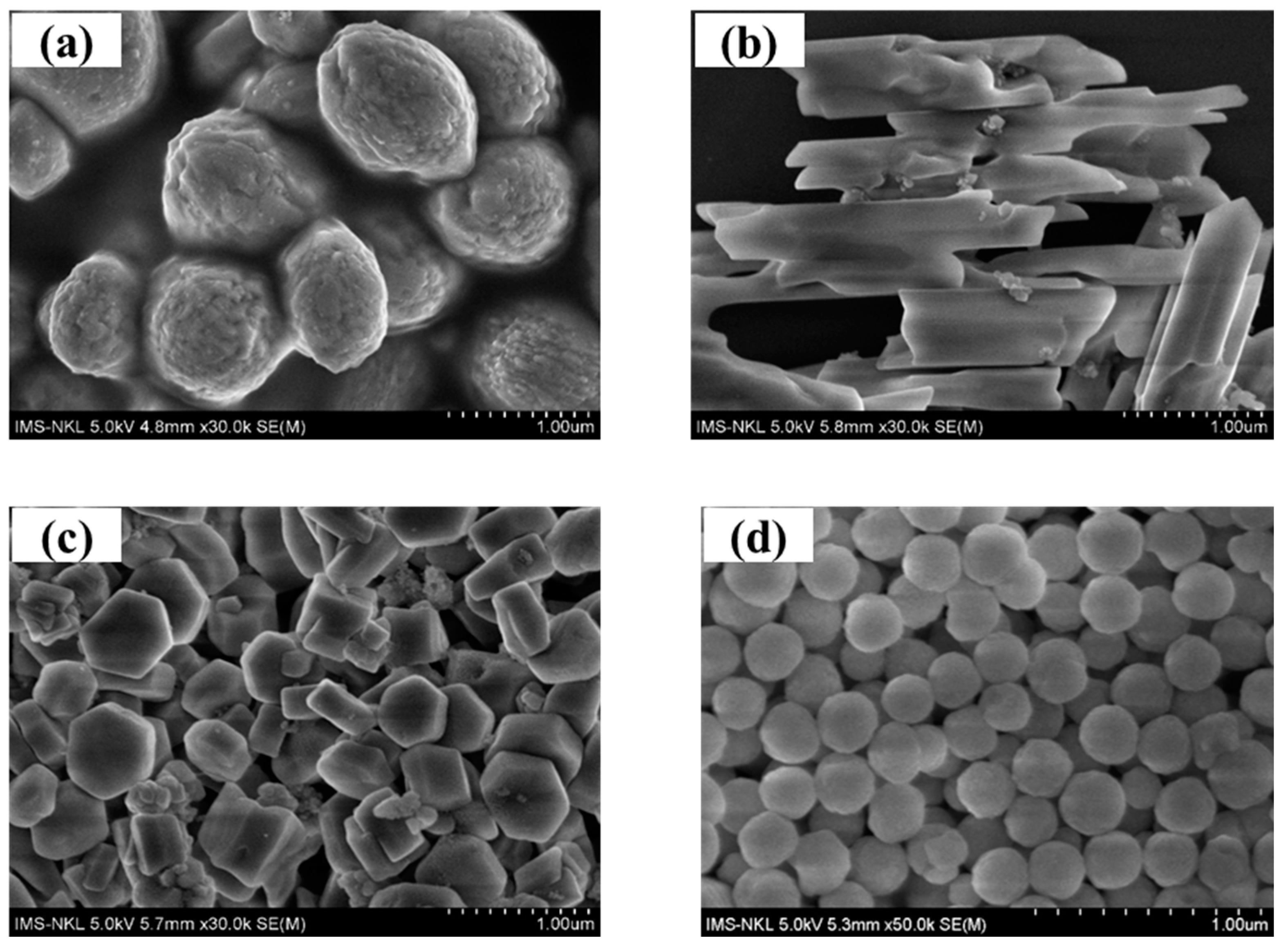 Inorganics 13 00140 g001