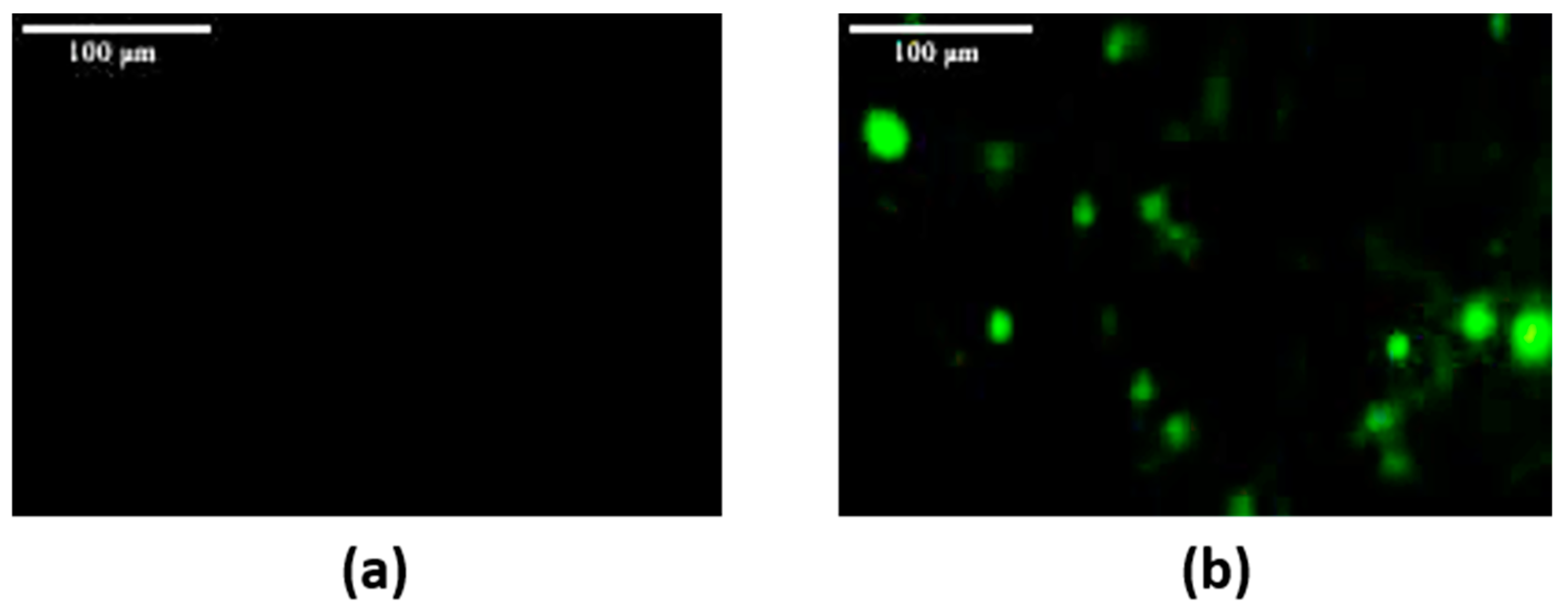 Inorganics 13 00140 g007