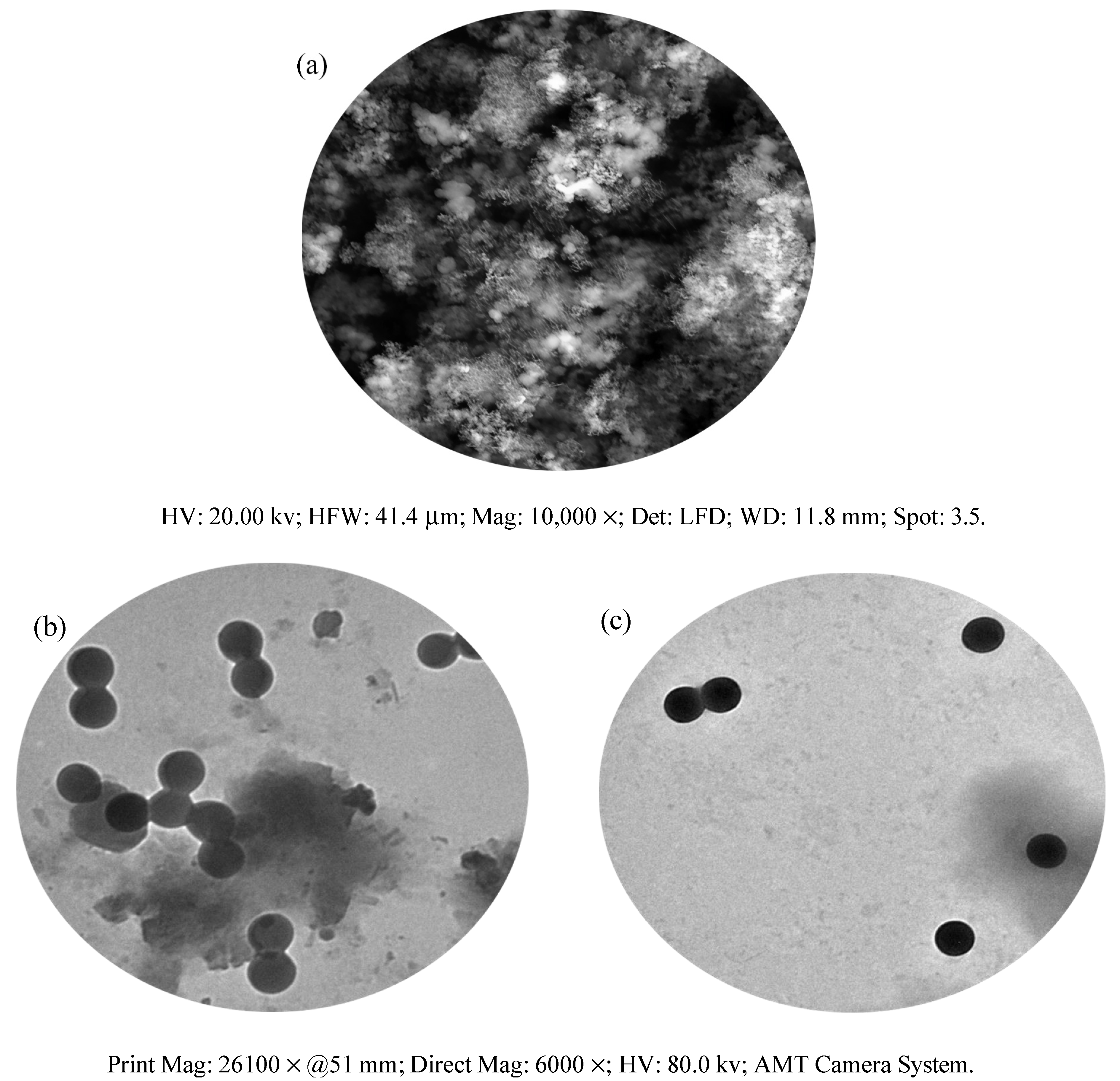 Inorganics 13 00151 g004
