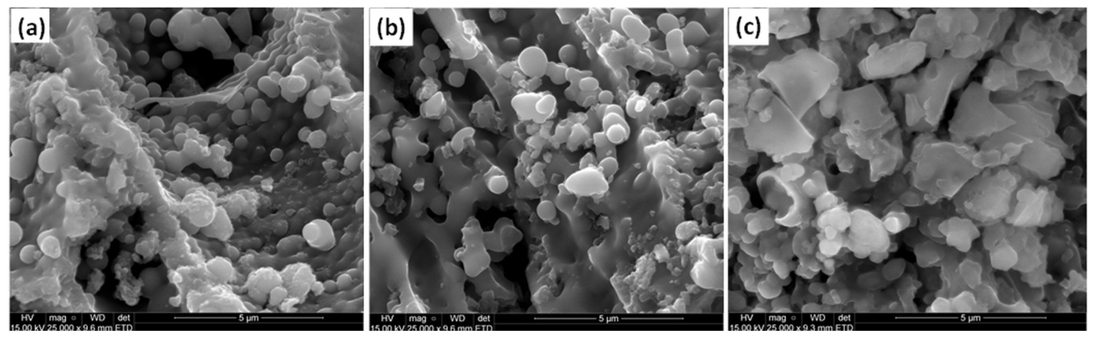 Inorganics 13 00167 g002