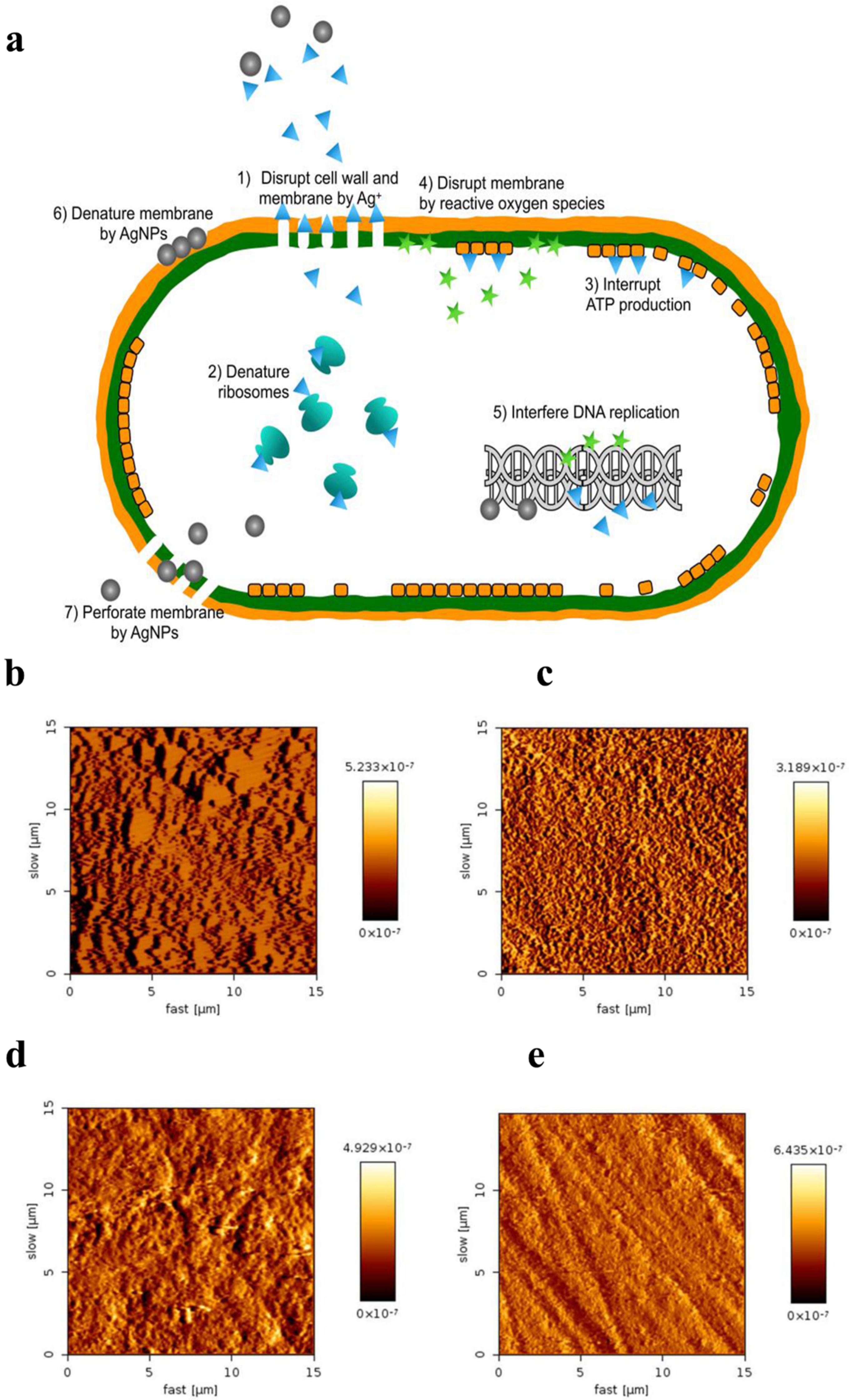 Inorganics 13 00168 g001