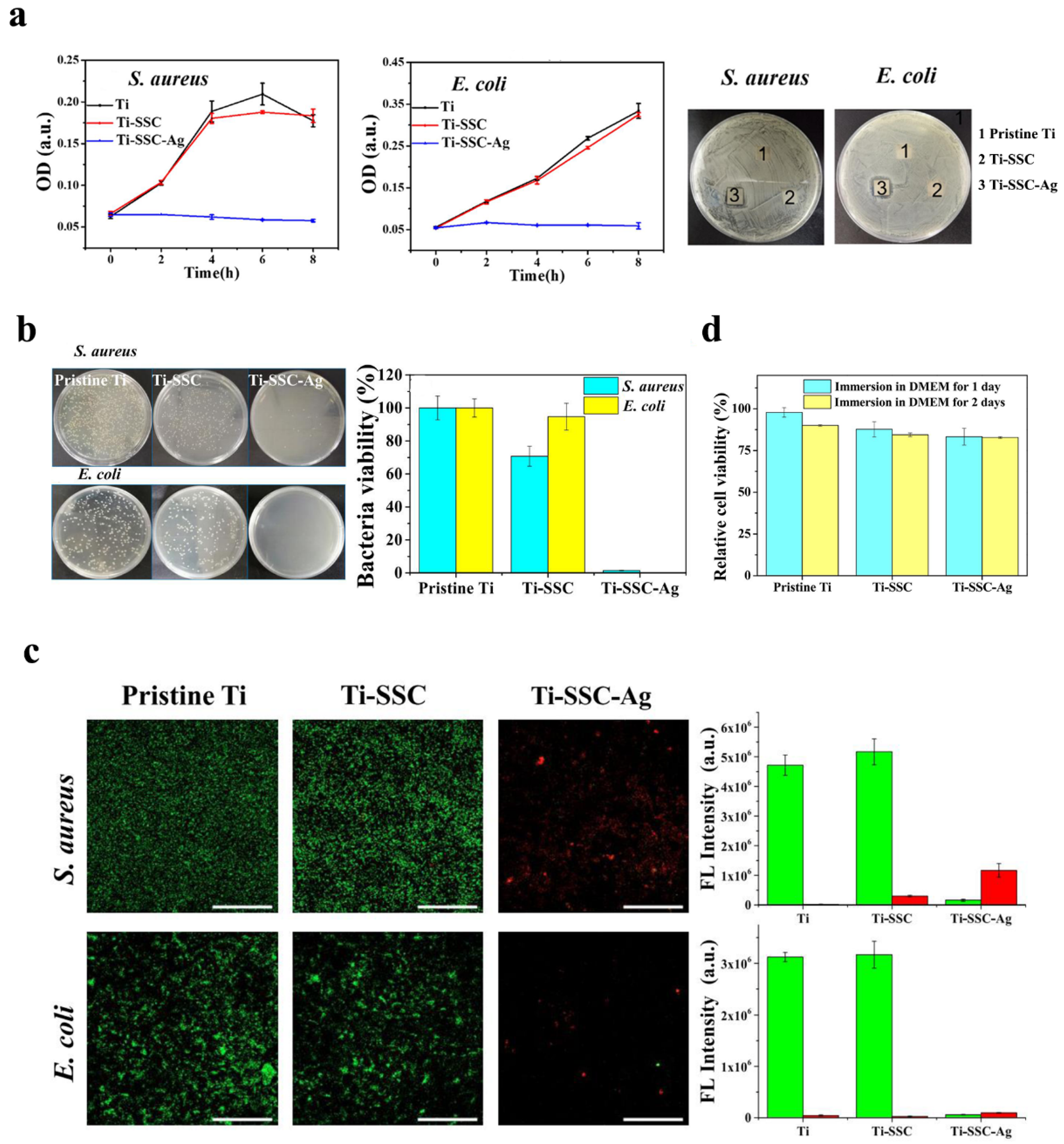 Inorganics 13 00168 g004