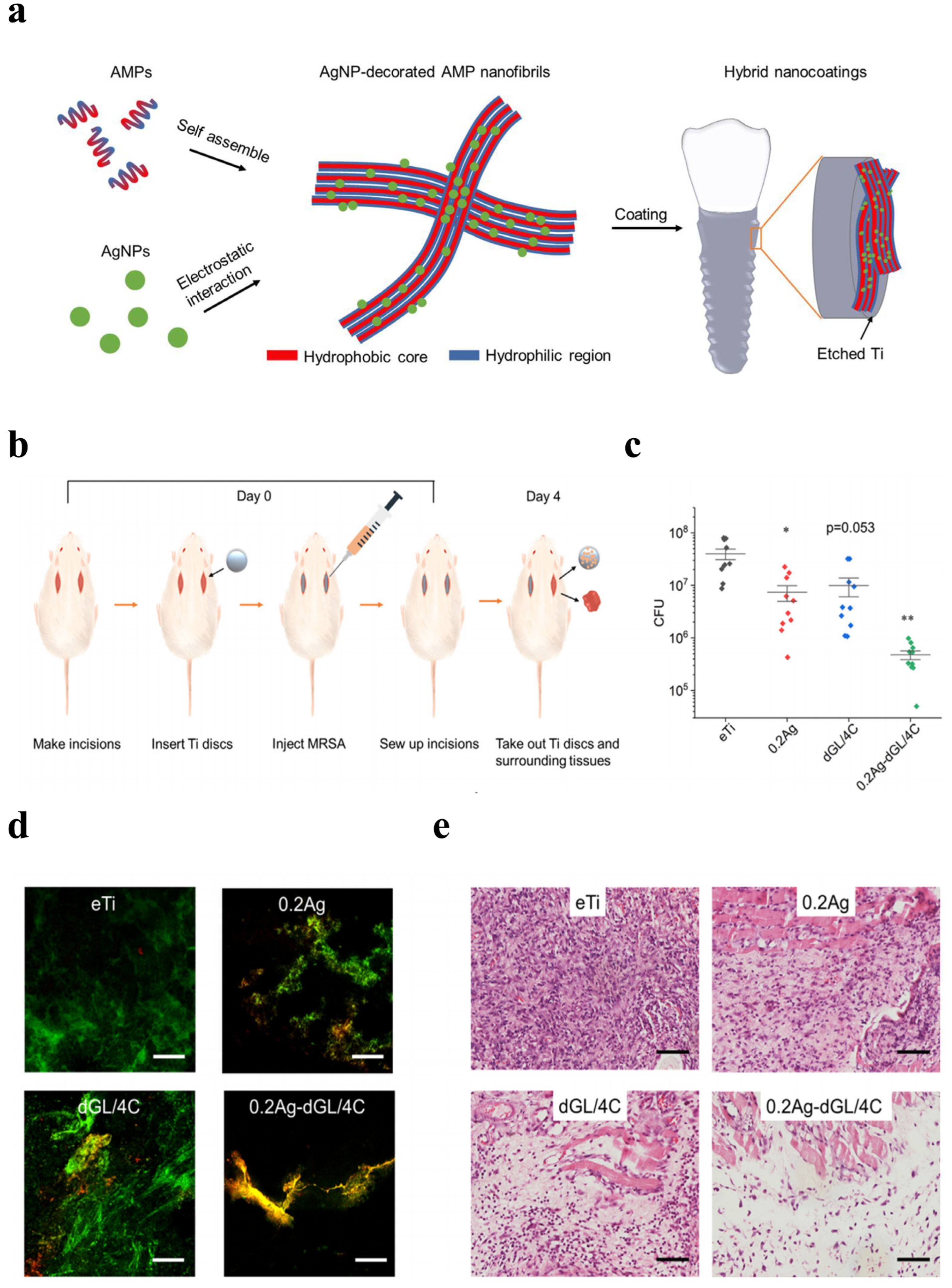 Inorganics 13 00168 g005