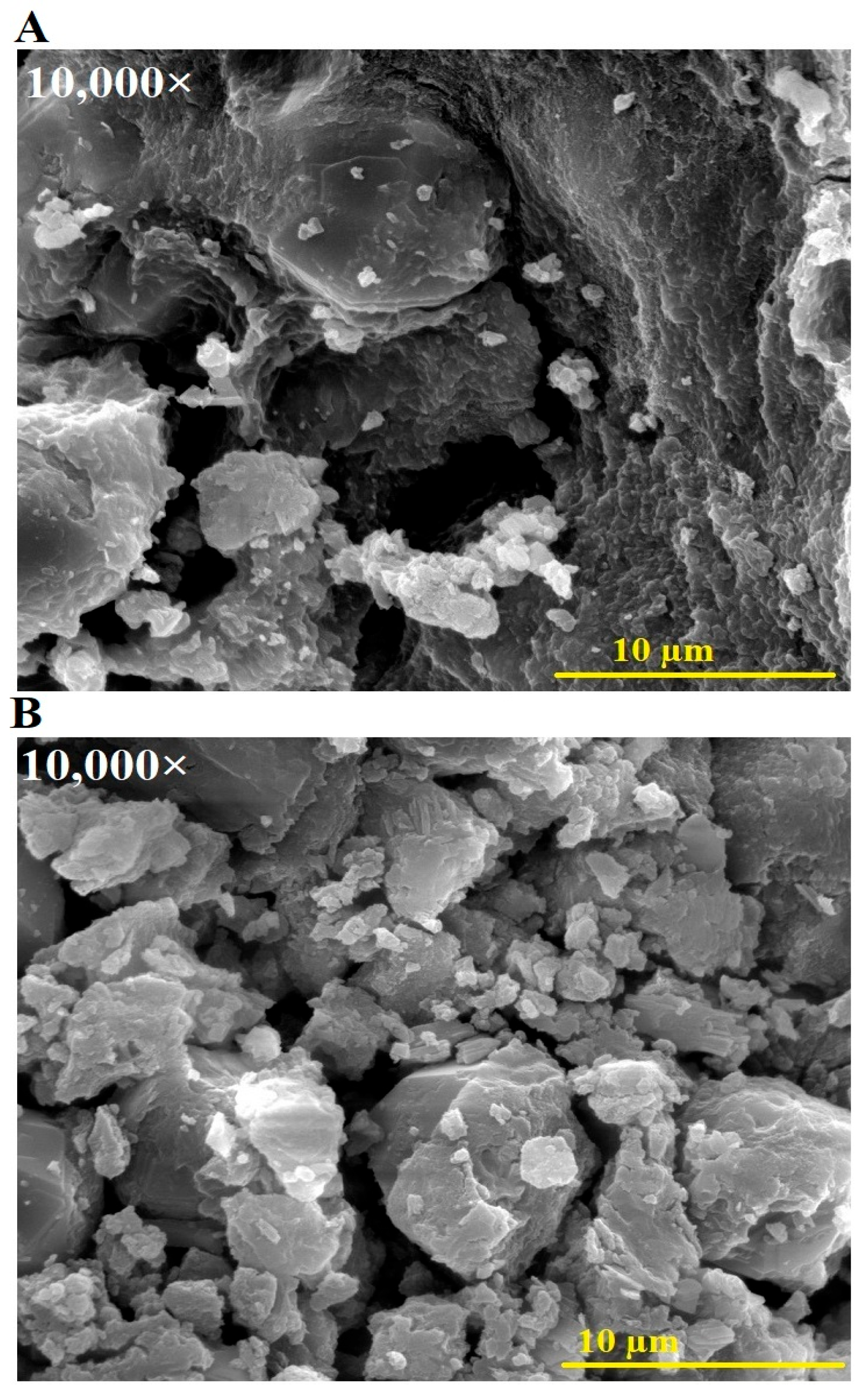 Inorganics 13 00174 g003