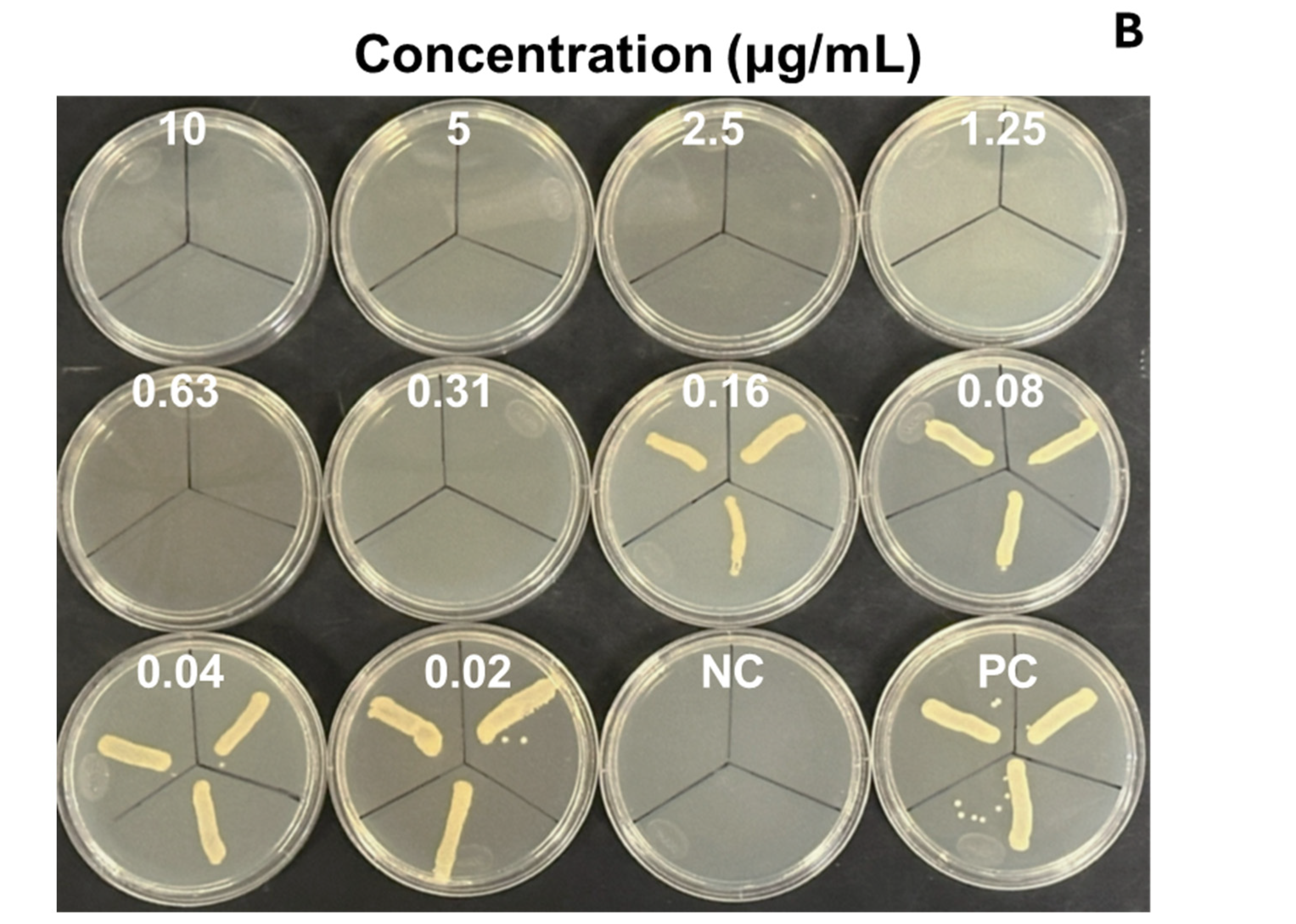 Inorganics 13 00178 g004b Inorganics 13 00178 g004b