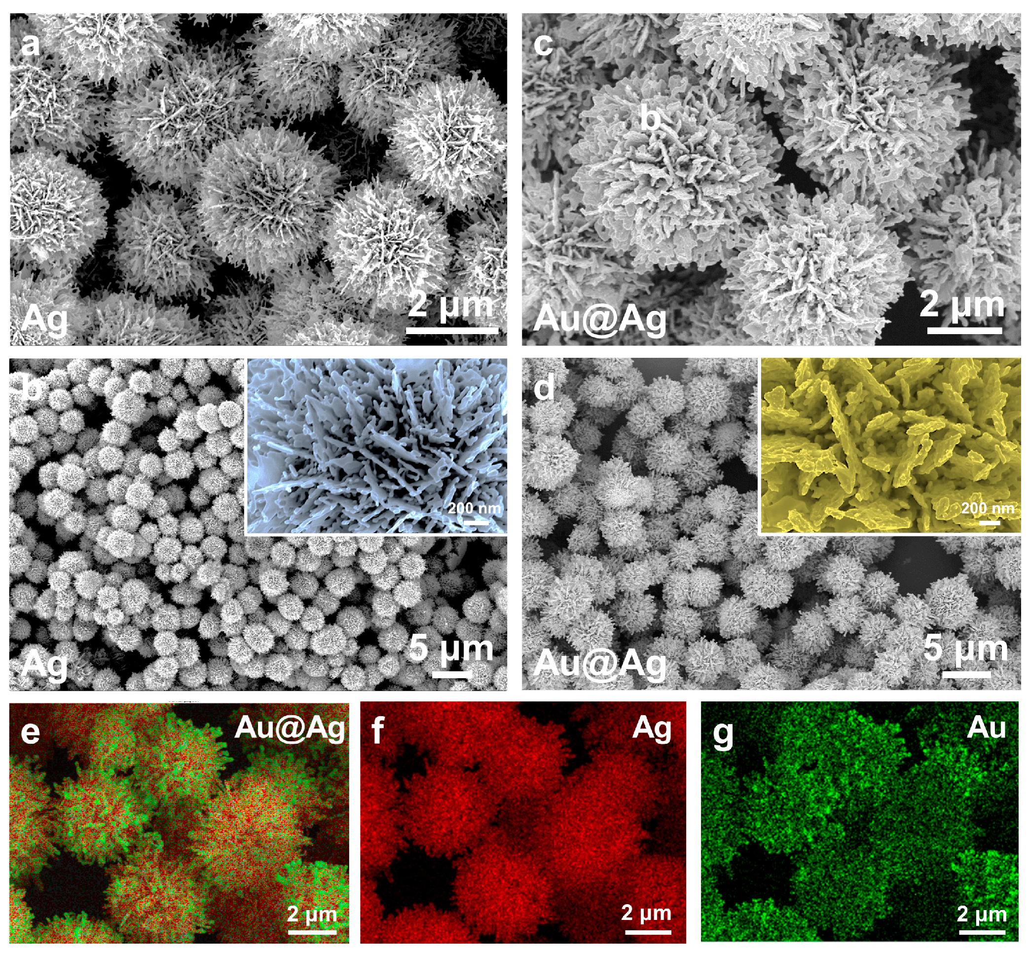 Inorganics 13 00191 g001