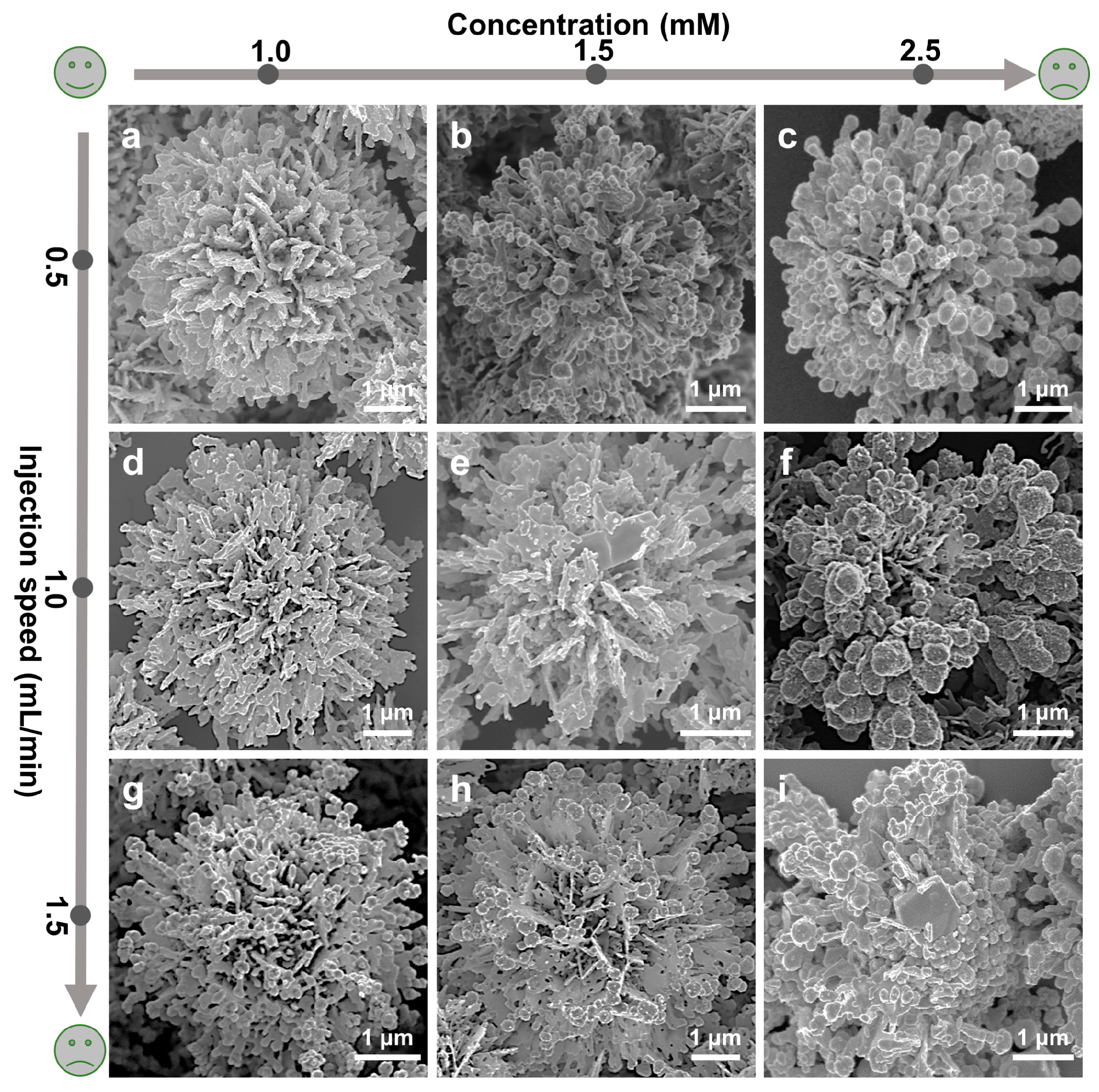 Inorganics 13 00191 g002