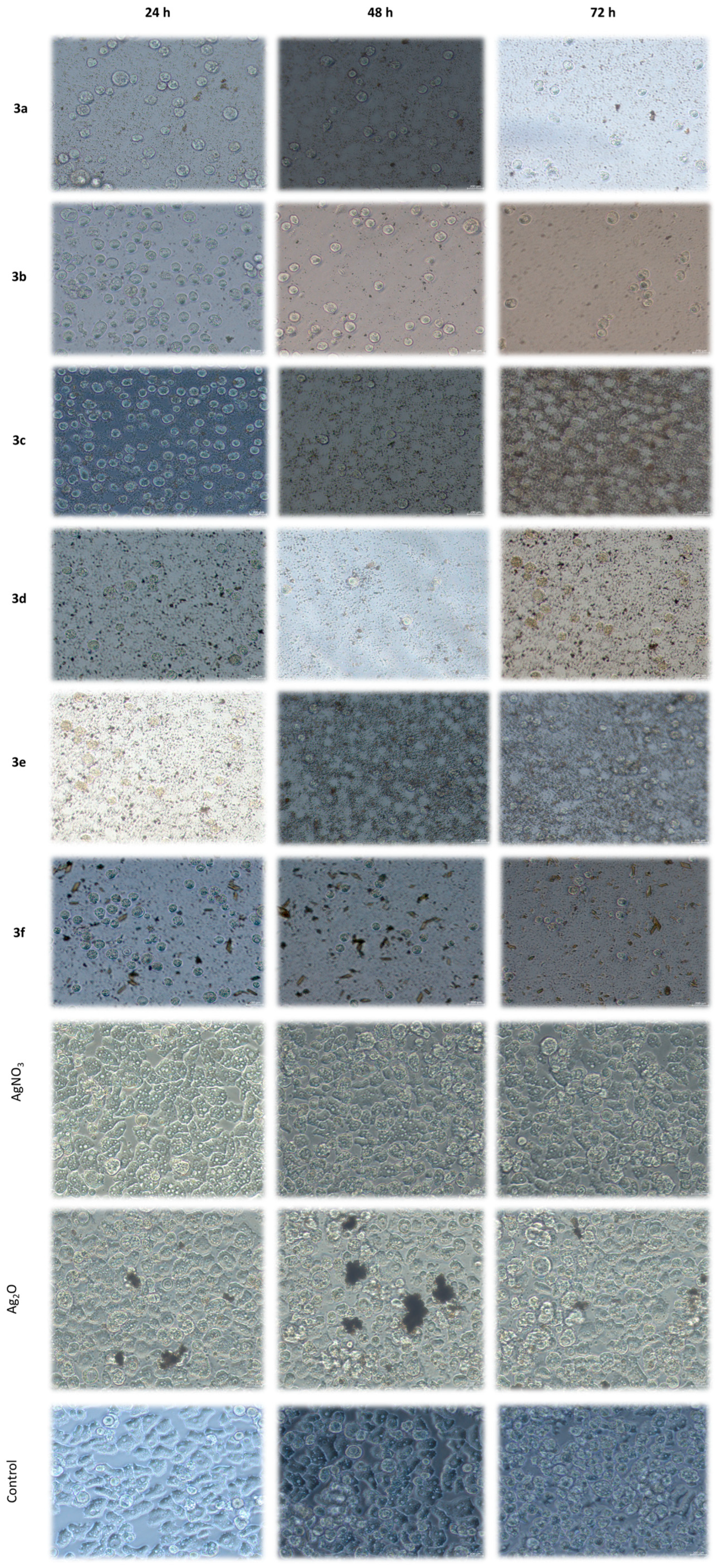 Inorganics 13 00204 g005