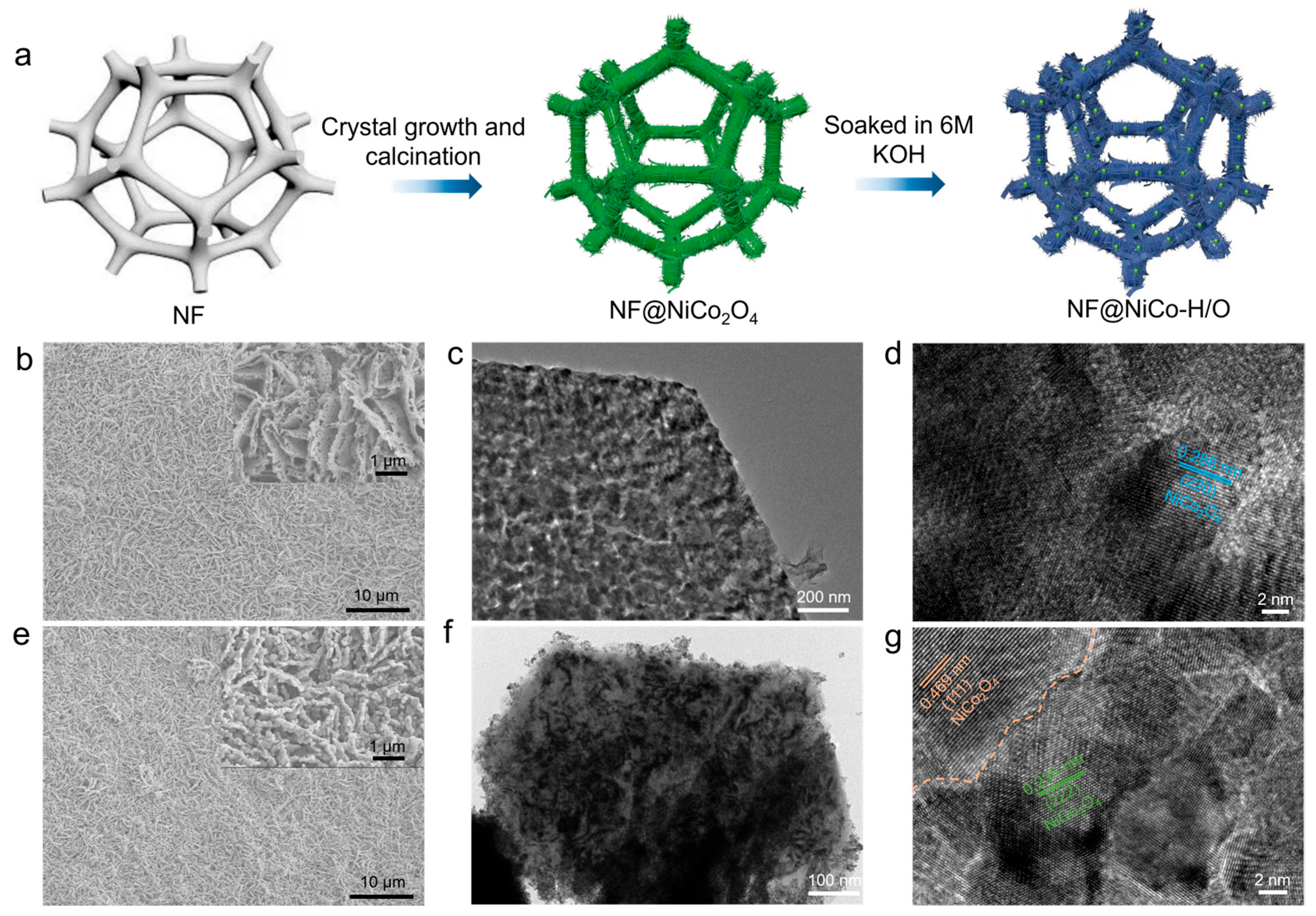 Inorganics 13 00211 g001