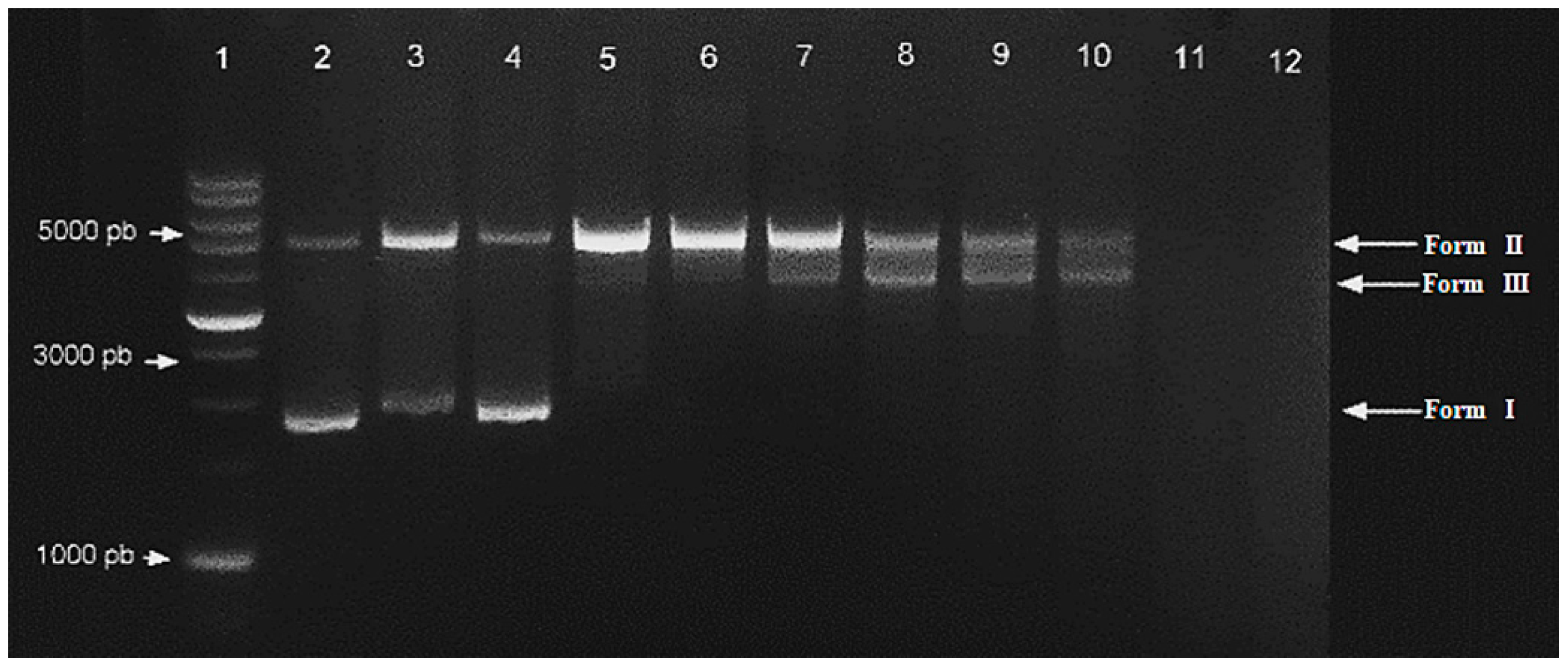 Inorganics 13 00213 g008