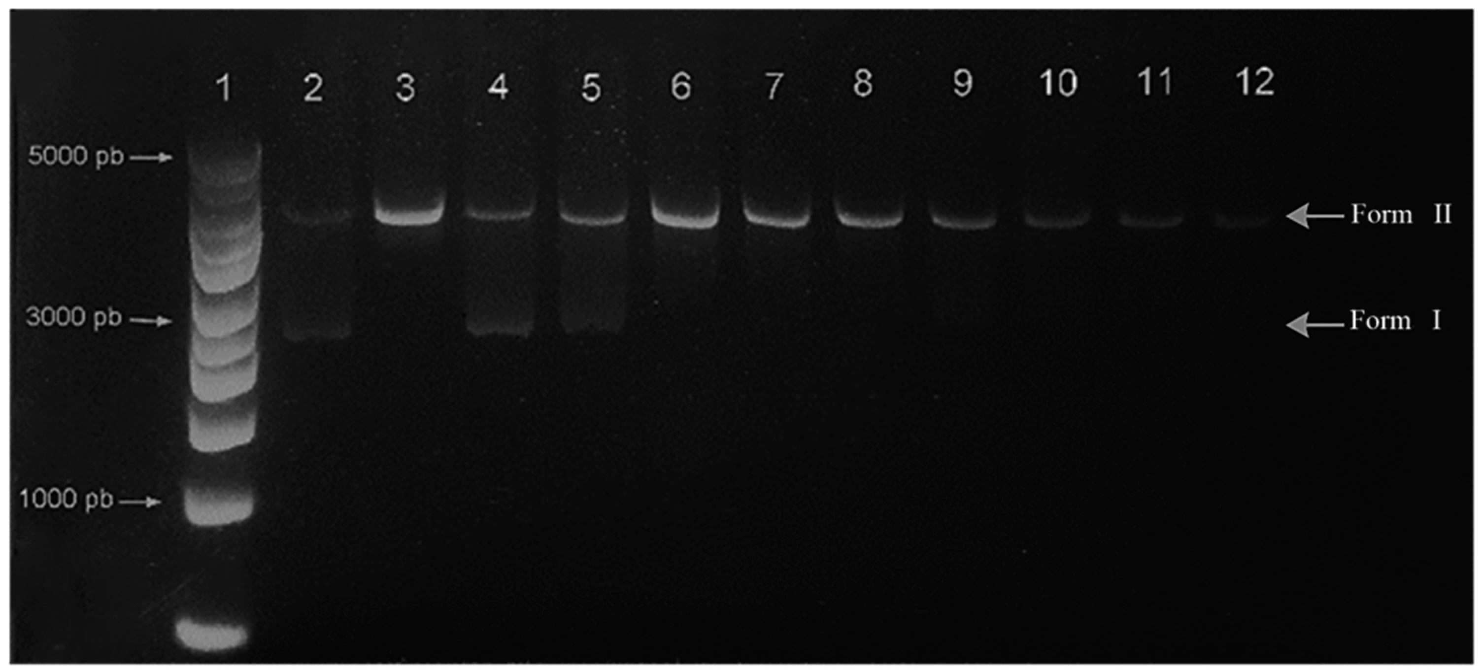 Inorganics 13 00213 g009