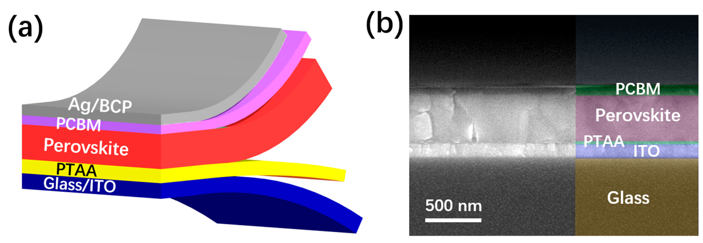 Inorganics 13 00232 g001
