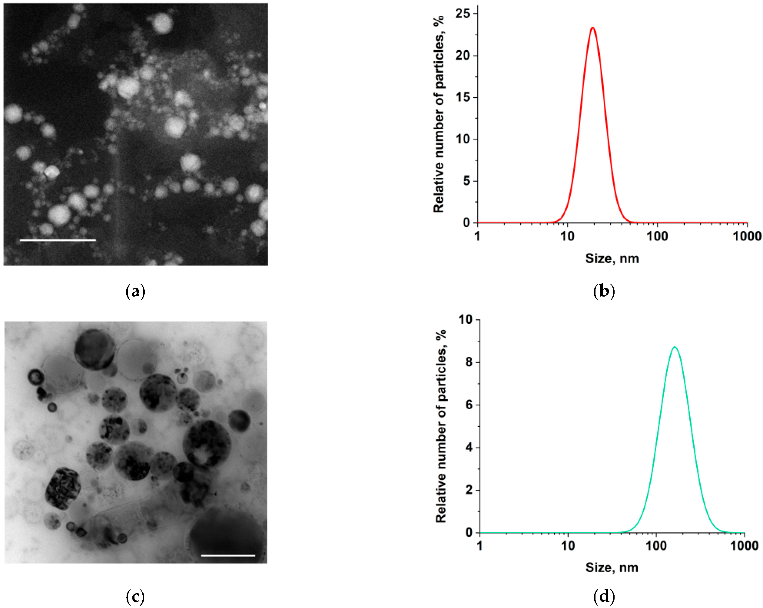 Inorganics 13 00233 g001