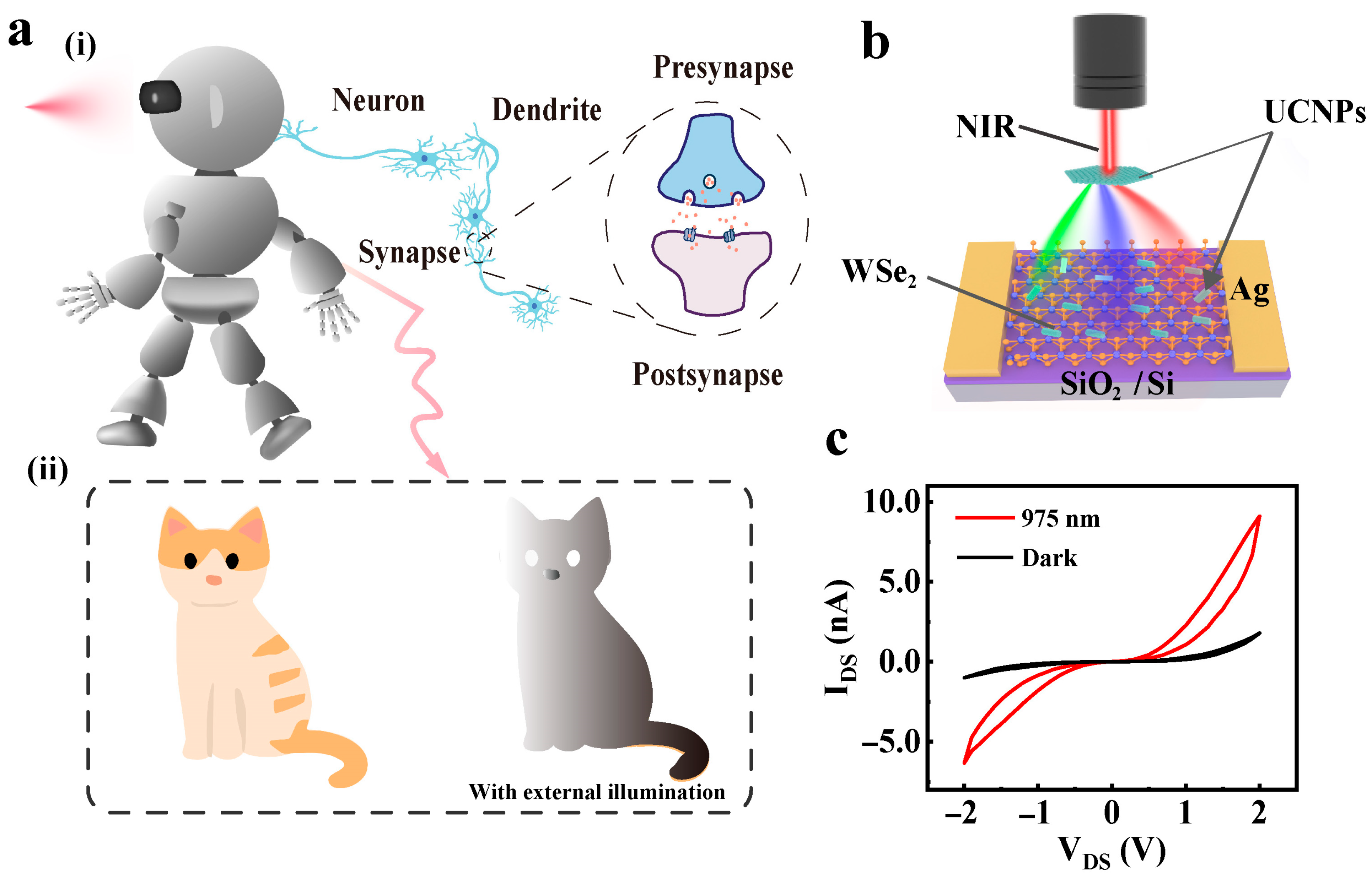 Inorganics 13 00236 g001